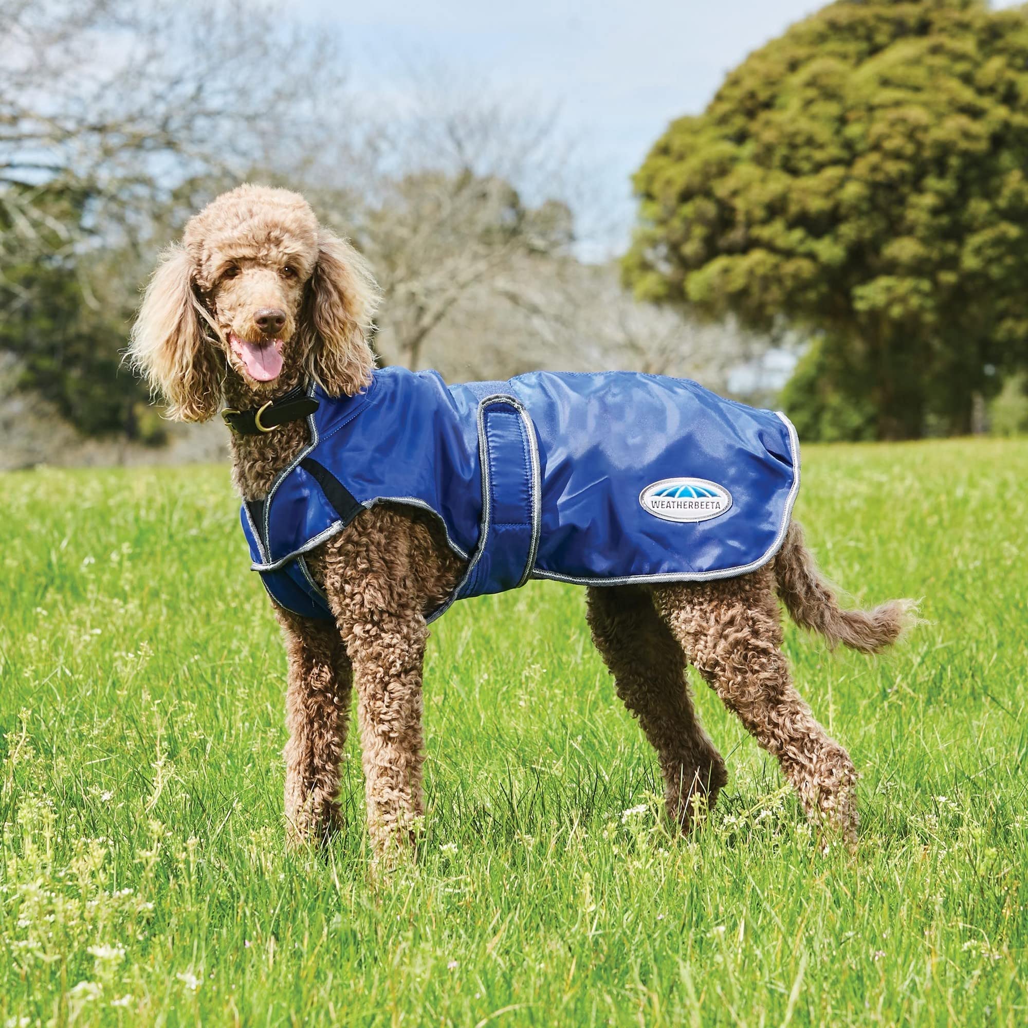 Weatherbeeta Comfitec Windbreaker Free Deluxe Dog Coat, Dark Blue/Grey/White, 16'