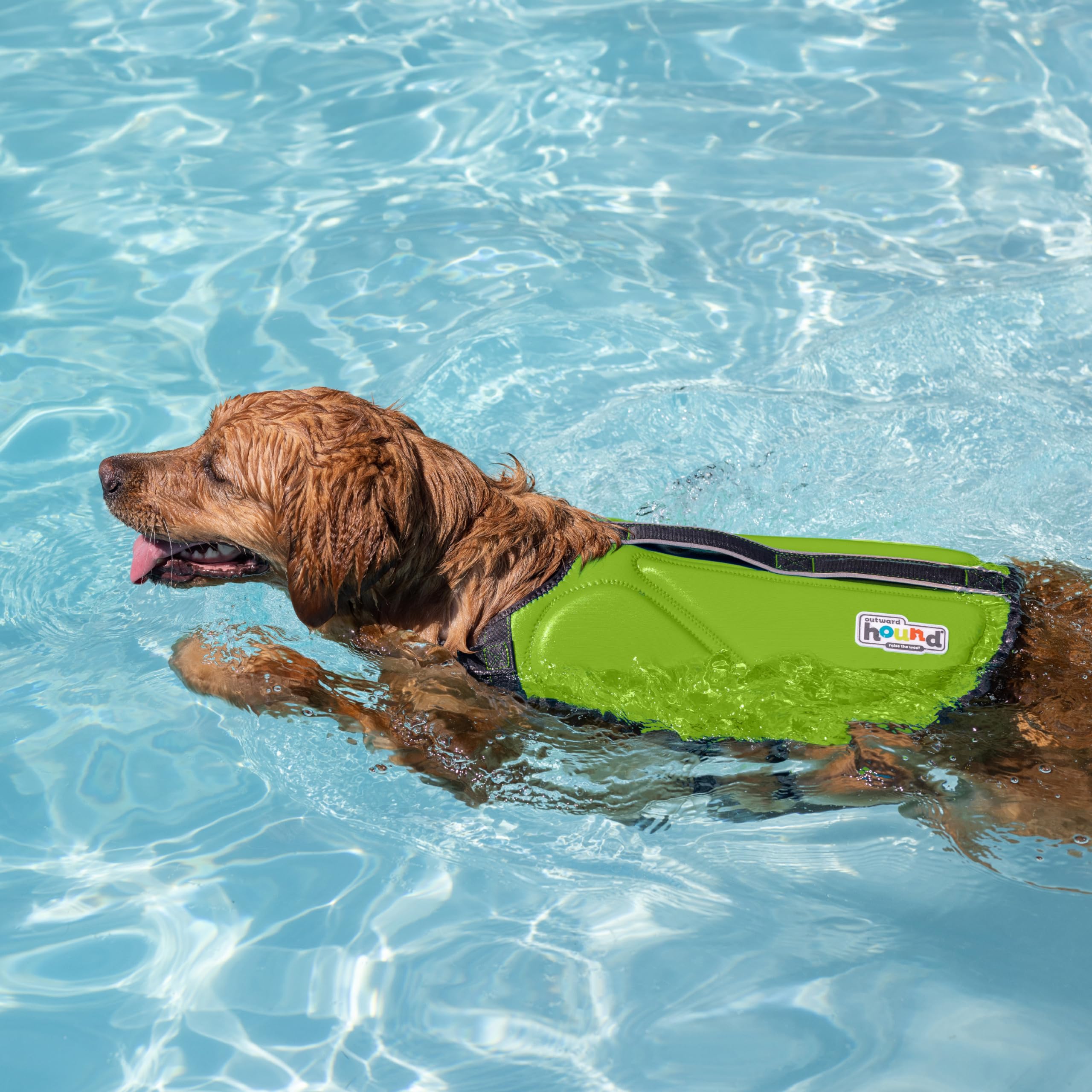 Outward Hound Dawson Swim Dog Life Jacket, Green, Large