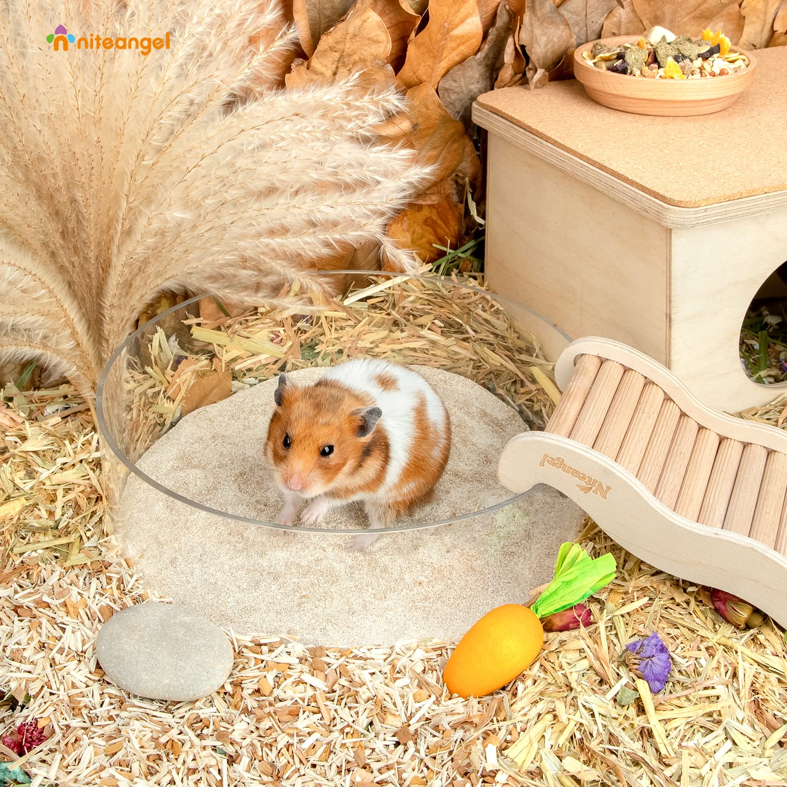 Niteangel Hamster Desert Bath Sand | No-Dust Bath Or Potty Litter Sand For Hamster Chinchillas Gerbil Mice Degu Or Other Small Pets