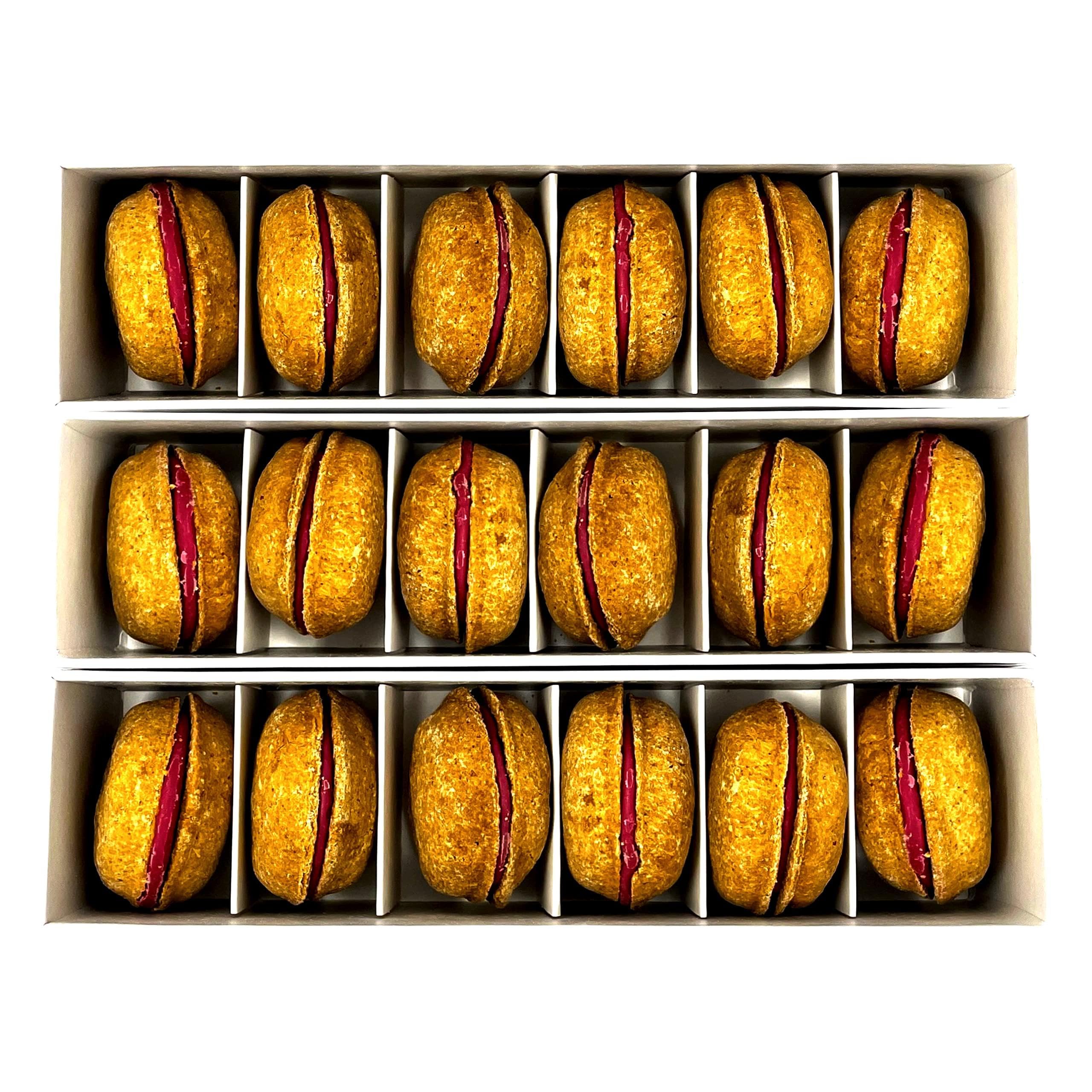 Dog Macaron combo gift Pack(D0102HIRL1Y)