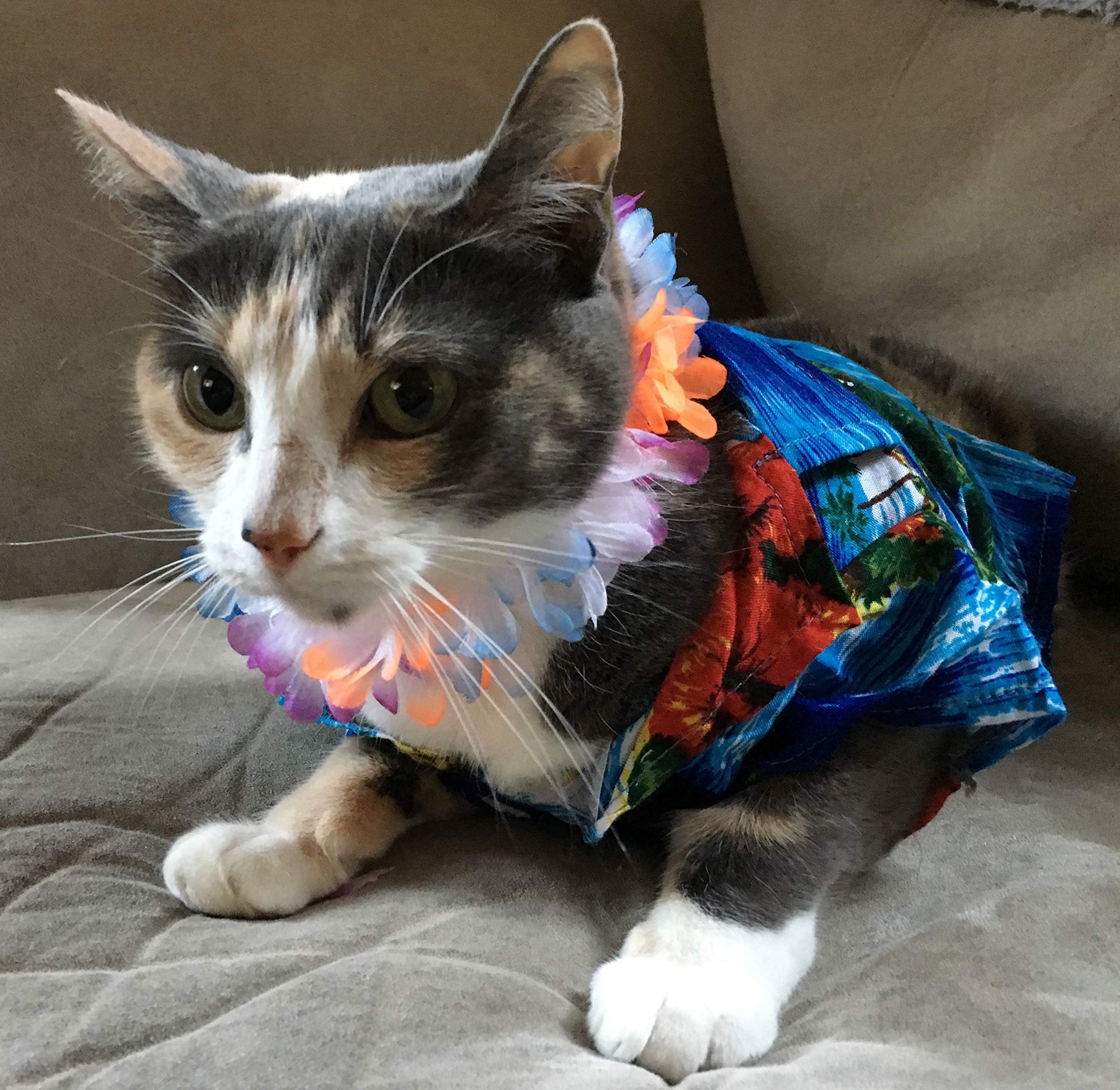 Rubie'S Luau Pet Costume, Medium