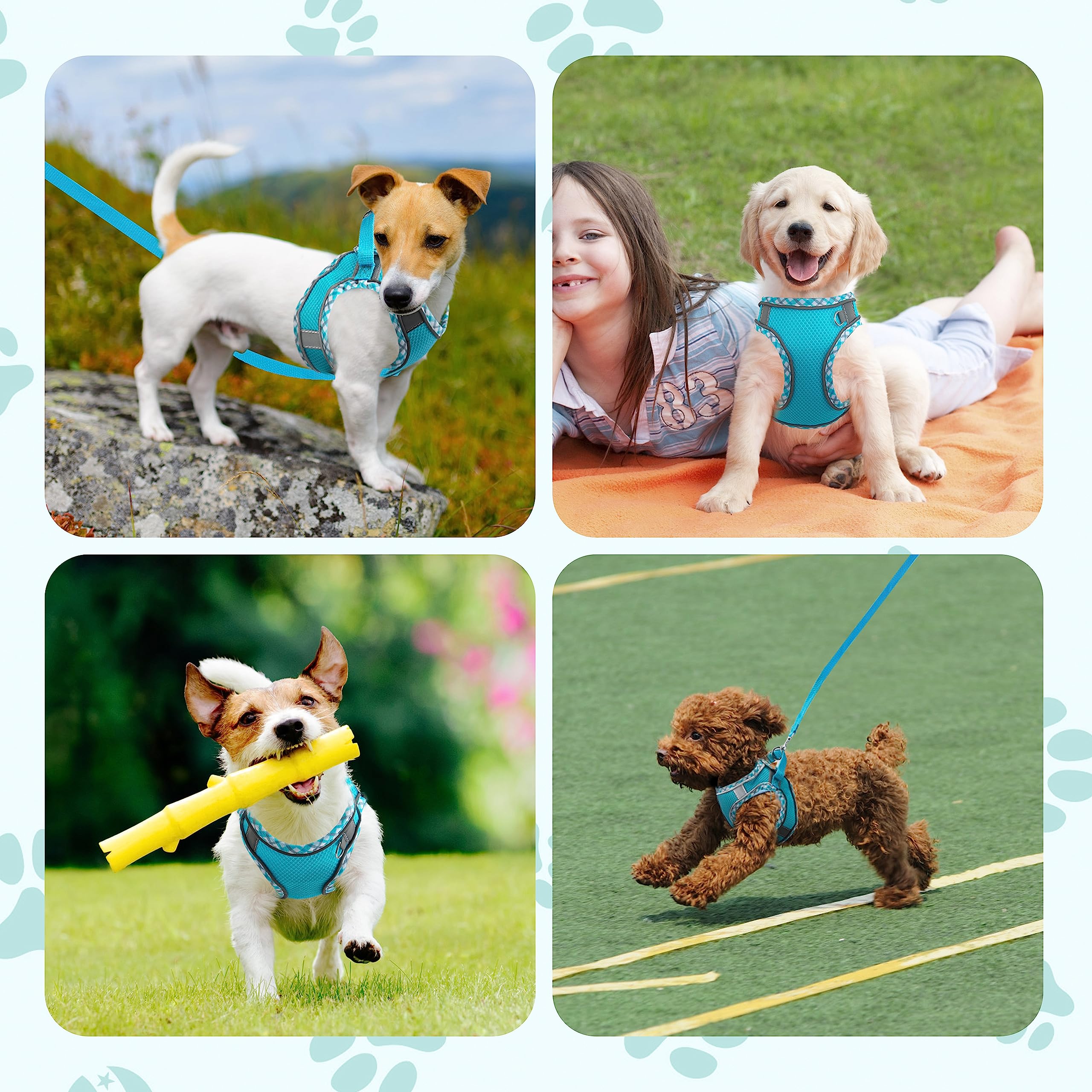 Small Dog Harness & Leash Set - No Pull Adjustable Reflective Breathable Mesh Step-in Harness for Extra Small/Small Medium Dogs