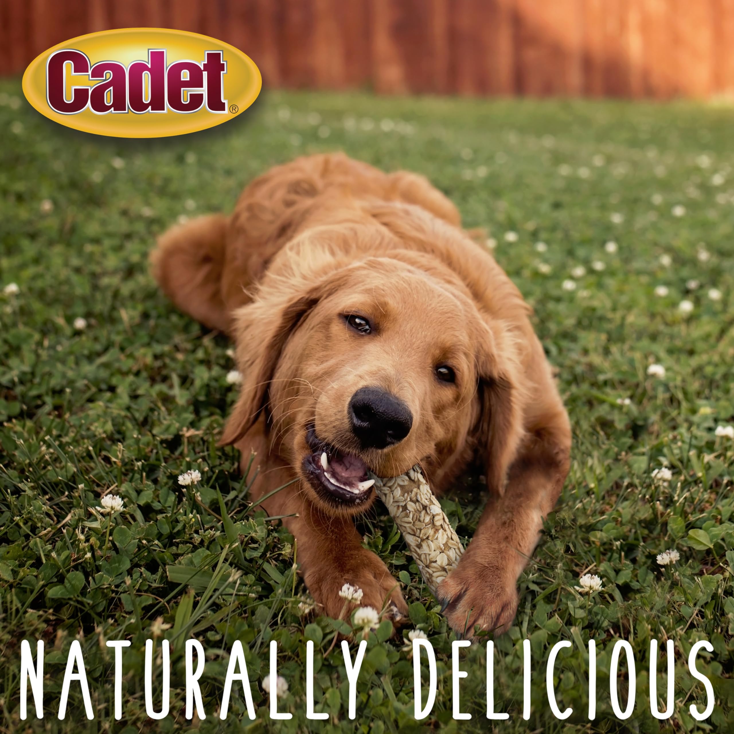 Cadet Smart Hide Rawhide Free Dog Treats - Oat Coated, 2 Count
