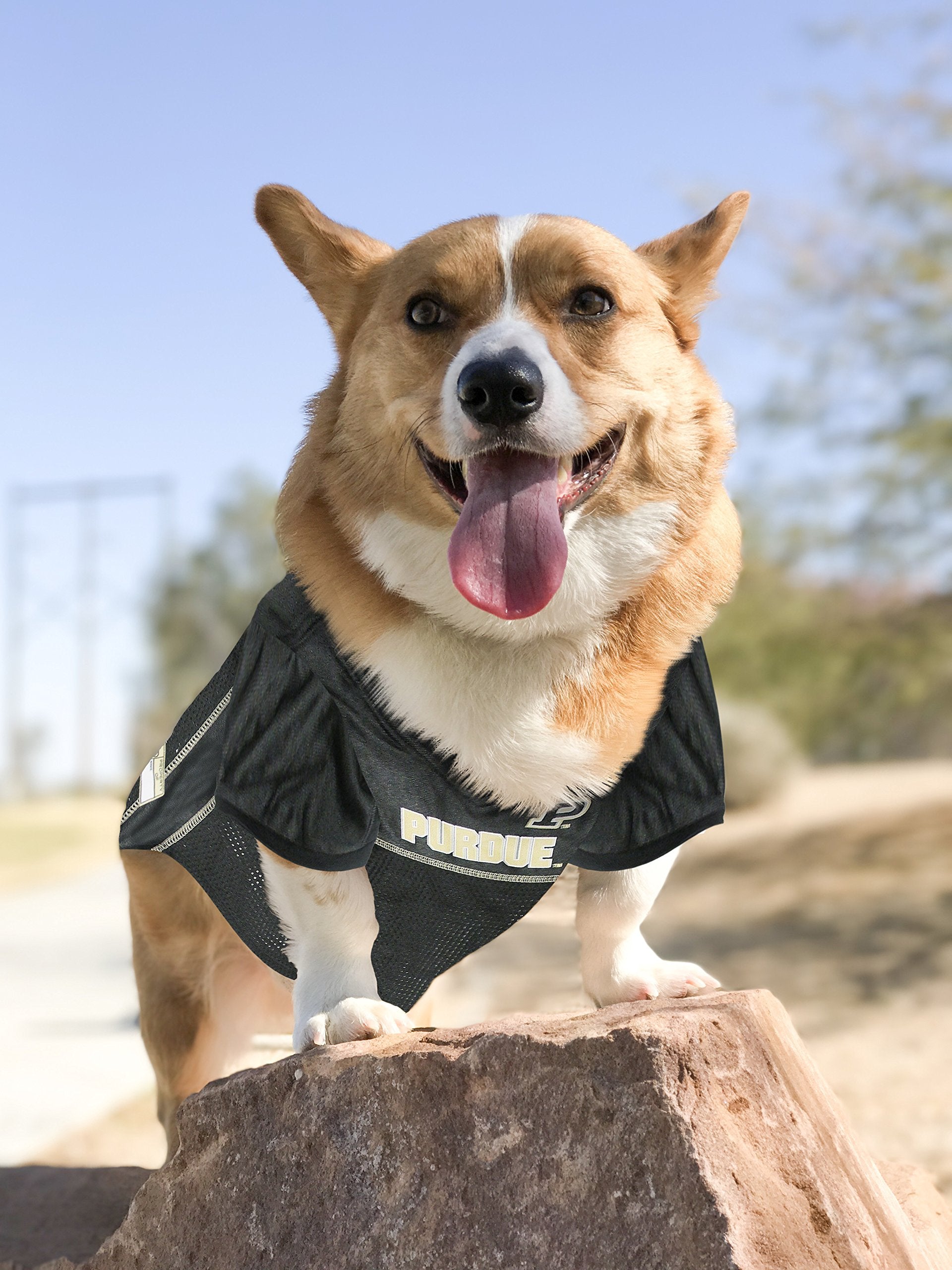Pets First NCAA College Purdue Boilermakers Mesh Jersey for DOGS & CATS, X-Large. Licensed Dog Jersey with your Favorite Footbal