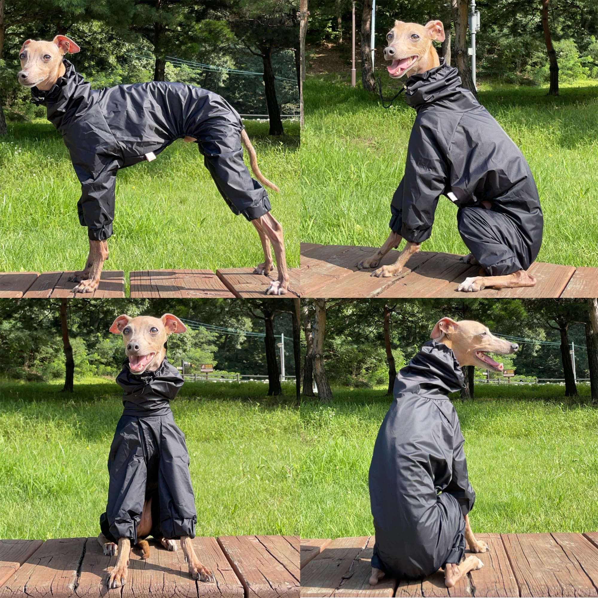 D Doggy Star Italian Greyhound Raincoat Waterproof Jacket Windbreaker Clothes Whippet For Dog (M,Raincoat Yellow)