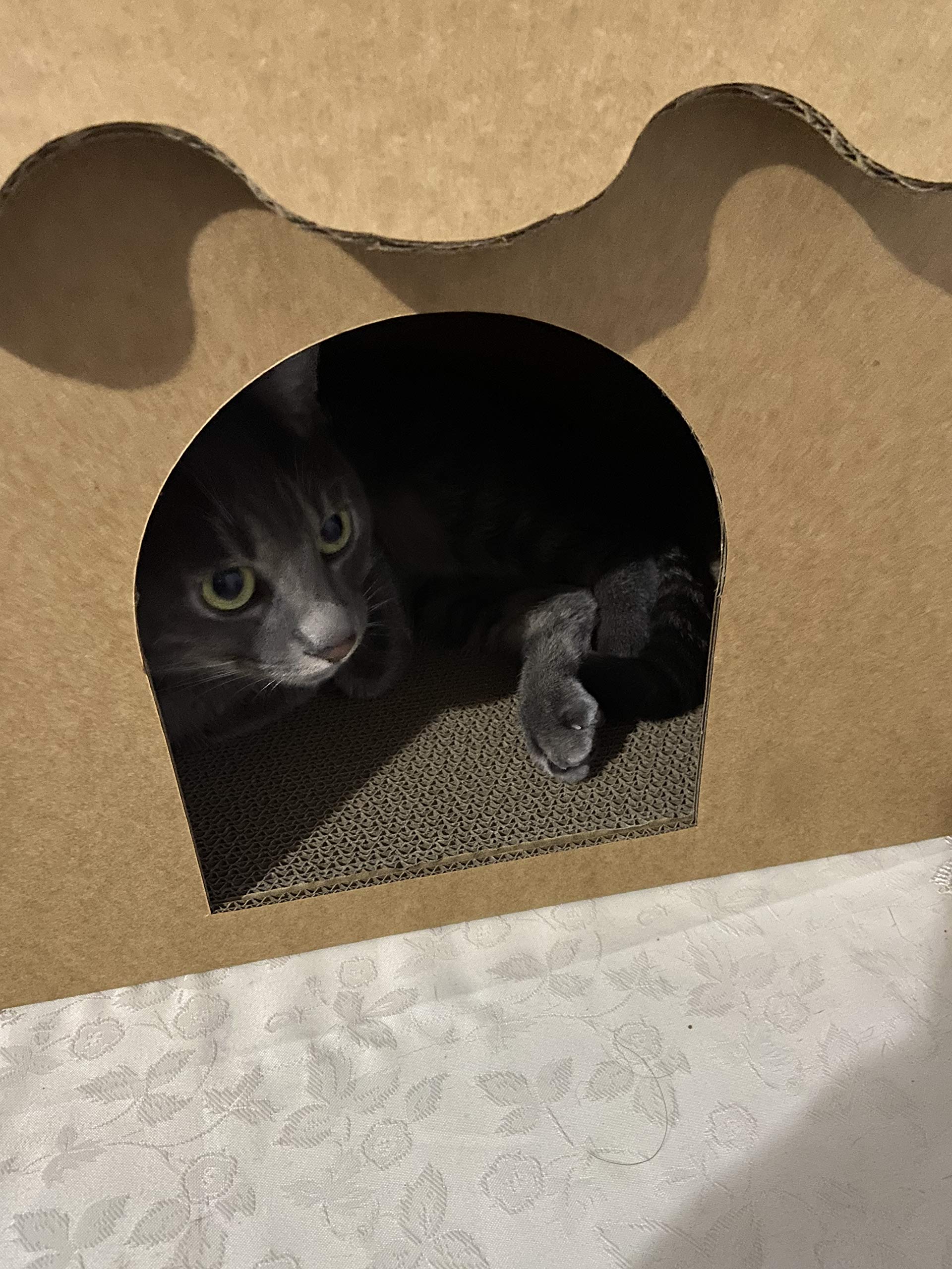 Svy Cozy Cat House With Scratcher Pad, Made Of Corrugated Cardboard, Ideal For Cats & Kittens & Small Animals. 16'X12'X13'