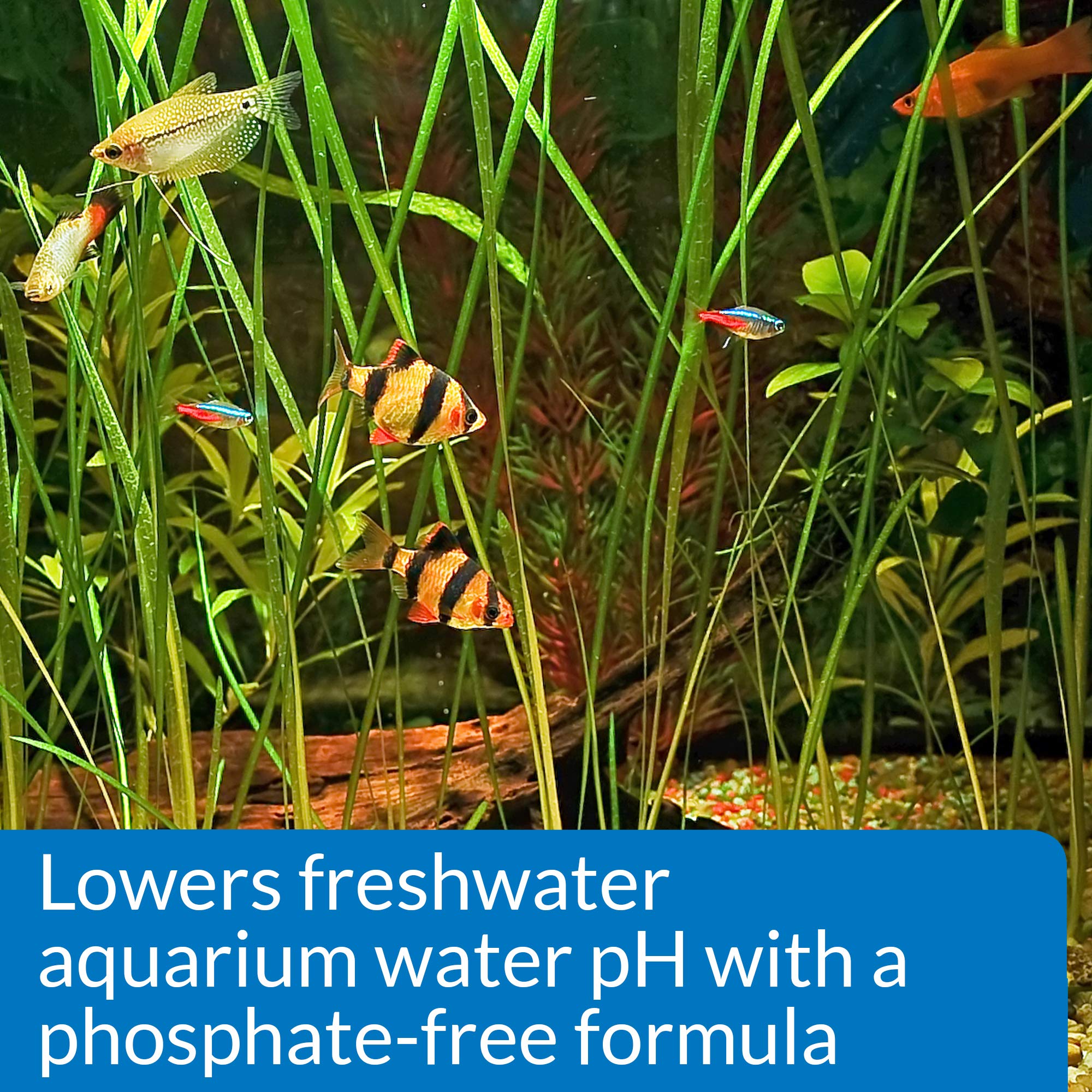 API pH DOWN Freshwater Aquarium Water pH Reducing Solution 4-Ounce Bottle