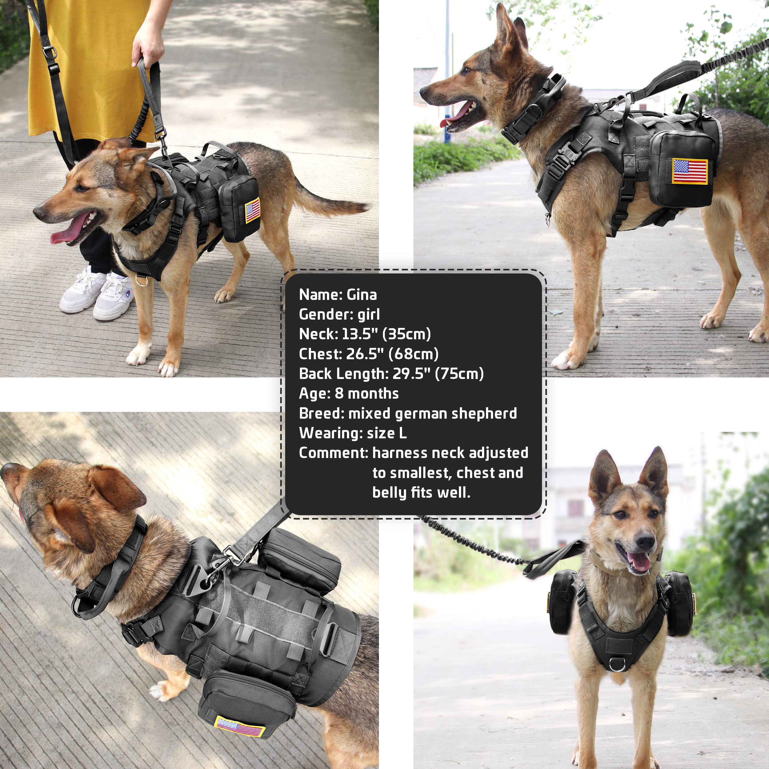 Forestpaw Tactical Dog Vest Harness & Collar Set, Black, L, Nylon, No Pull Military Design for Medium Large Dogs