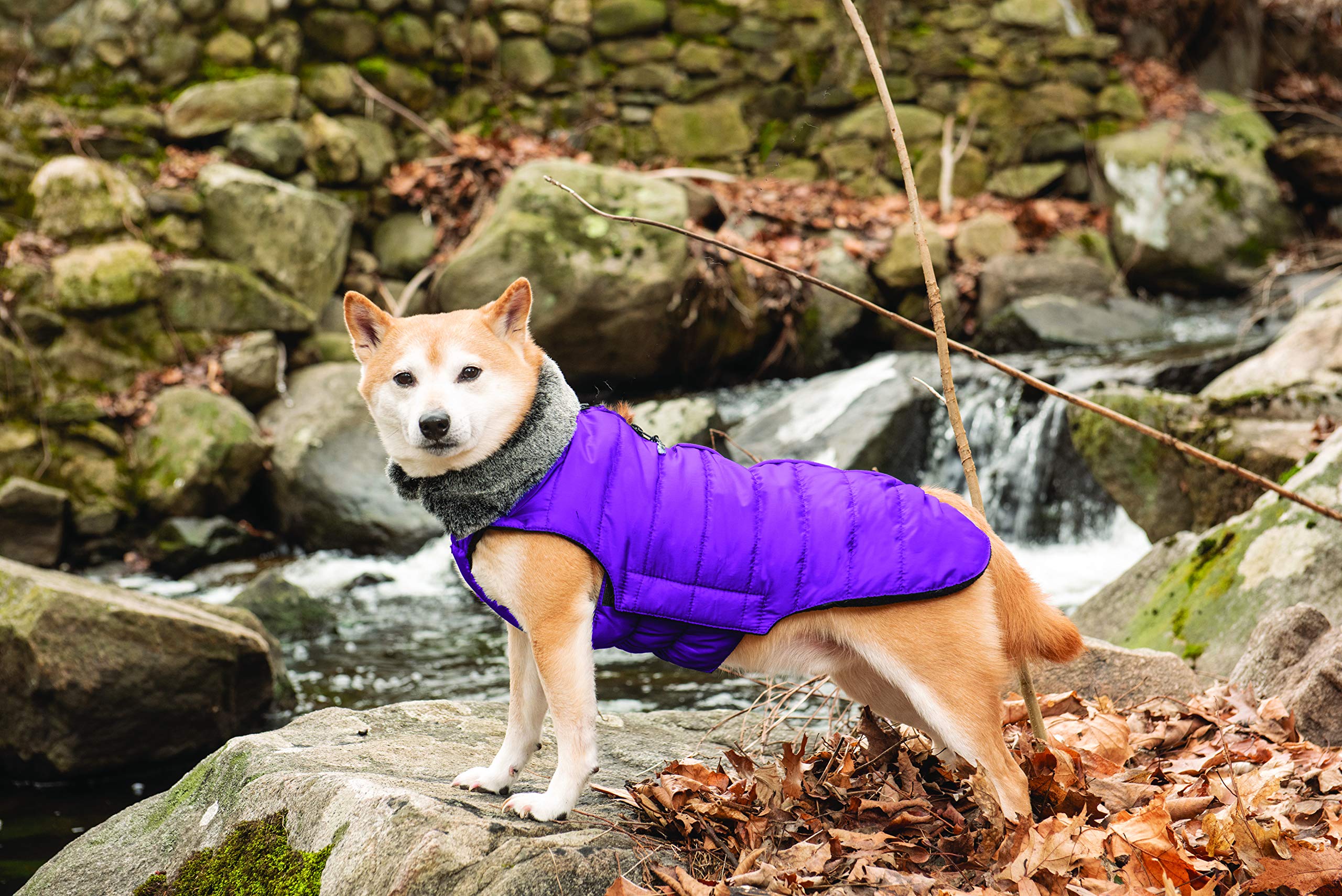 Dog Gone Smart Hemlock Puffy Dog Jacket, Indigo, 12'