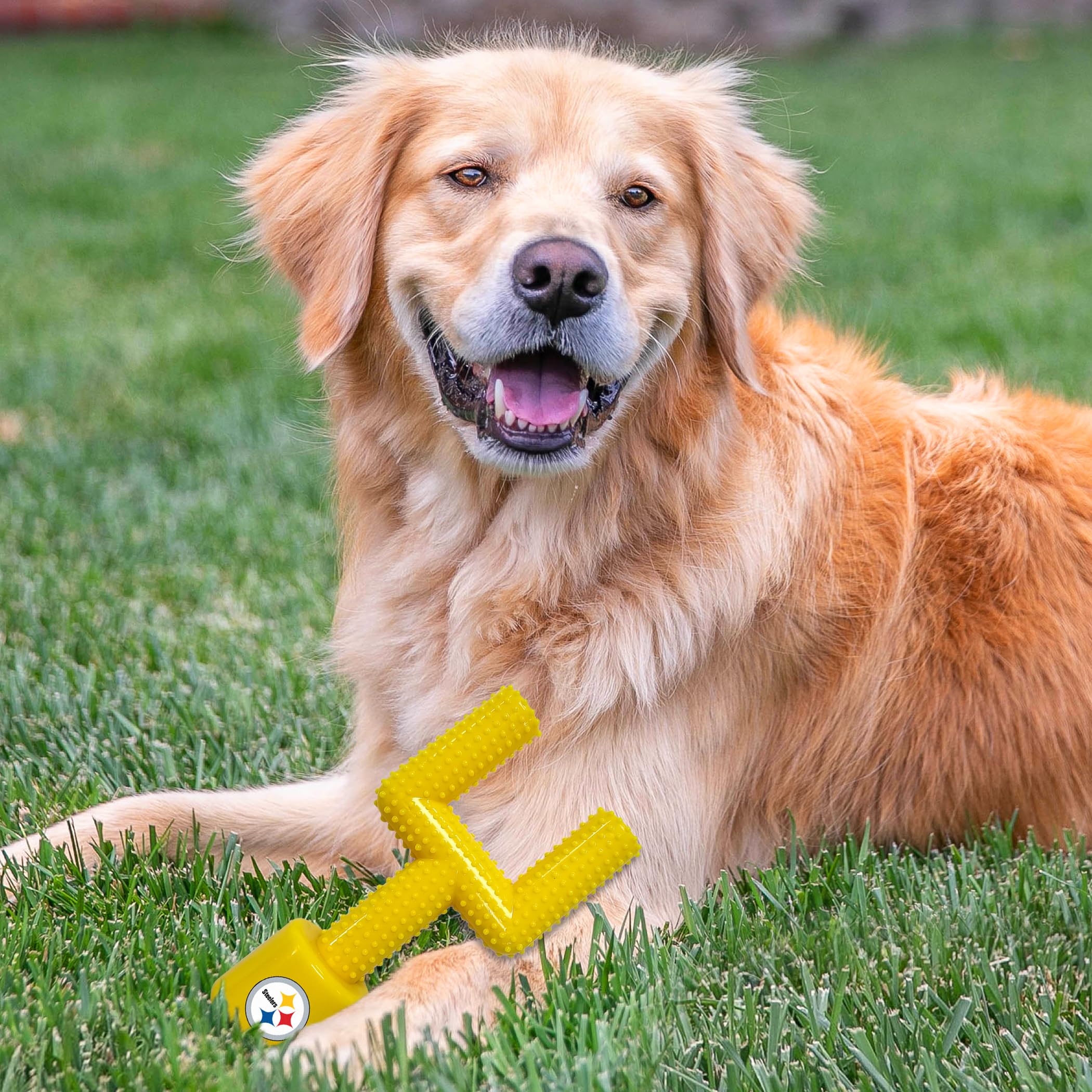 Nfl Pittsburgh Steelers Mega-Chew Hard Nylon Bacon-Flavored Dog Bone Football Goal Post Chew Toy. Interactive Tasty Fun Dog Chew