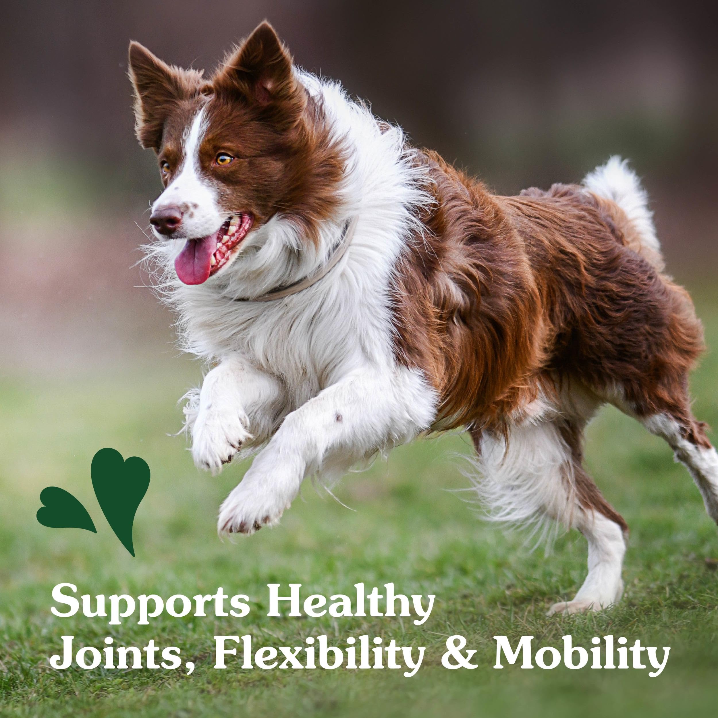Greenies Supplements Hip and Joint Supplement for Dogs, Chicken Flavor, 80-Count Tub, Pack of 2