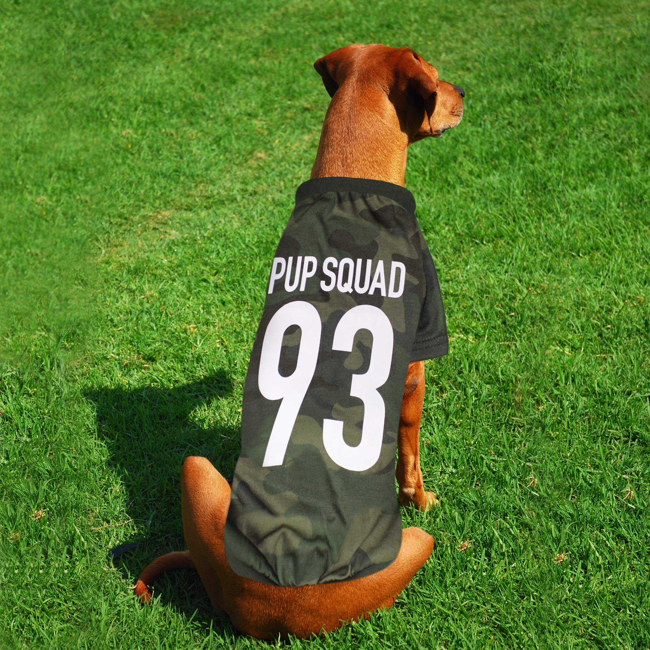 Laur Diy Pet Tee Shirt - Pup Squad - Laurdiy Dog Shirt, Large