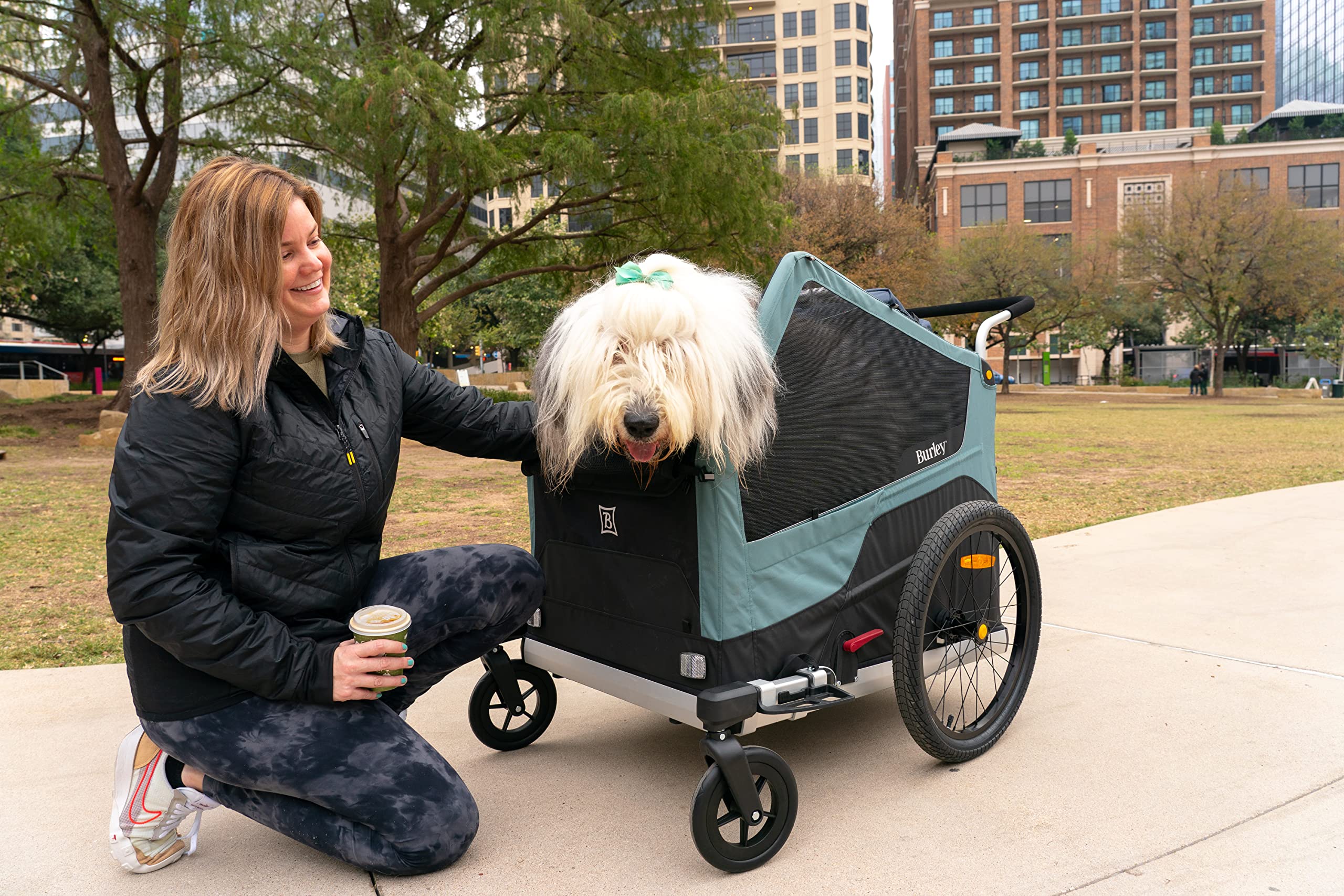 Burley Design XL Dog Bike Trailer & Stroller - Blue Spruce, Aluminum, Roomy Interior, Model 947107
