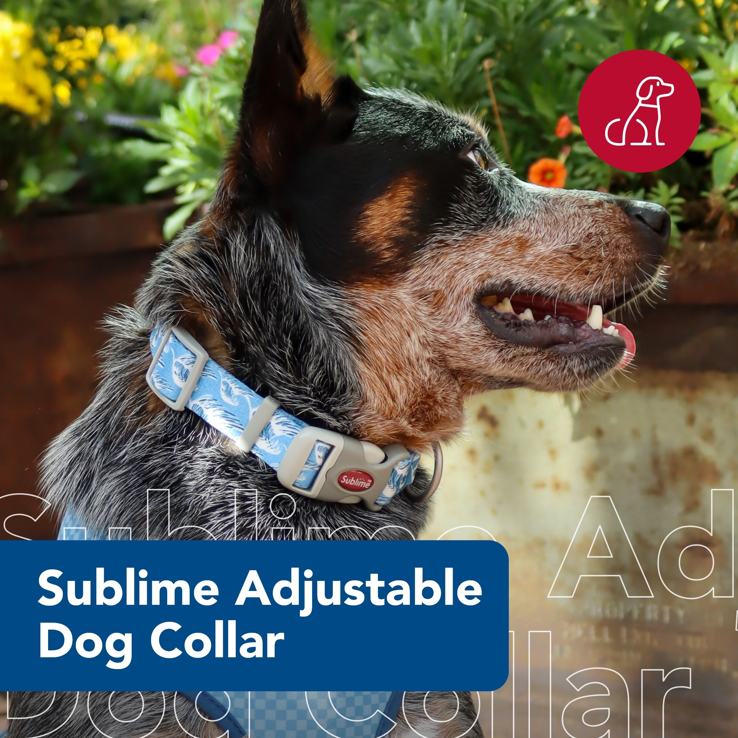 Coastal Pet Sublime Adjustable Dog Collar - Adjustable Plastic Buckle - Vibrant & Colorful Dog Collar With Fade-Resistant Patterns - Blue Waves With Blue Checkers, Medium - 1' X 12'-18'
