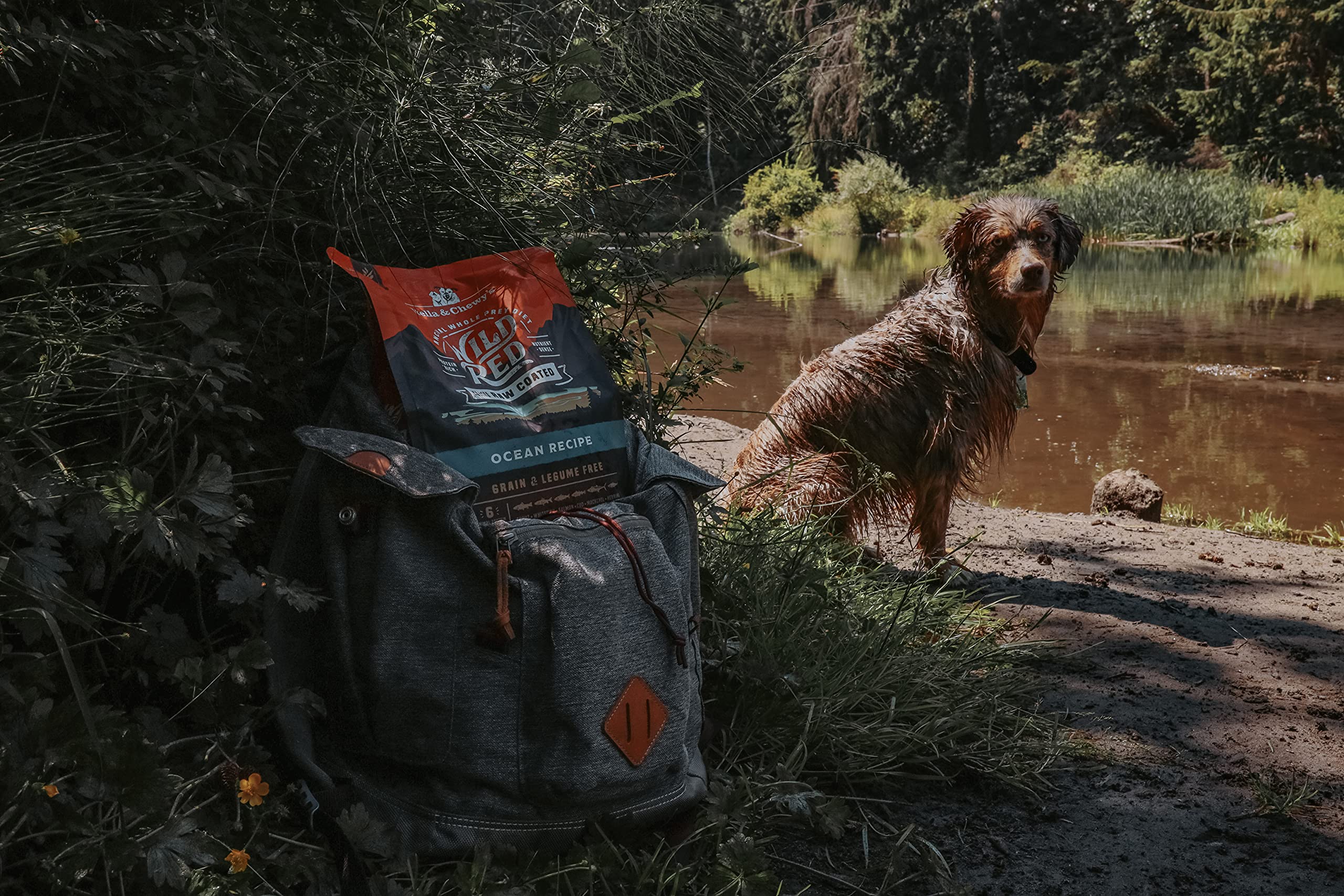 Stella & Chewys Wild Red Dry Dog Food Raw Coated High Protein Grain & Legume Free Ocean Recipe, 21 lb. Bag