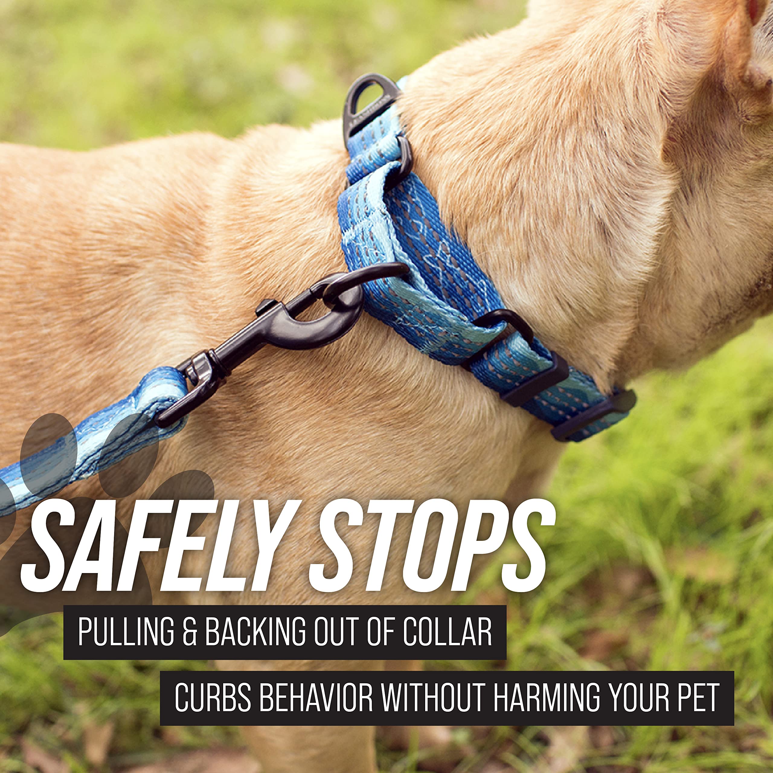 Leashboss Martingale Collar For Dogs | Reflective Nylon Dog Collar For Large Dogs, Medium And Small Dogs | No Pull Pet Training