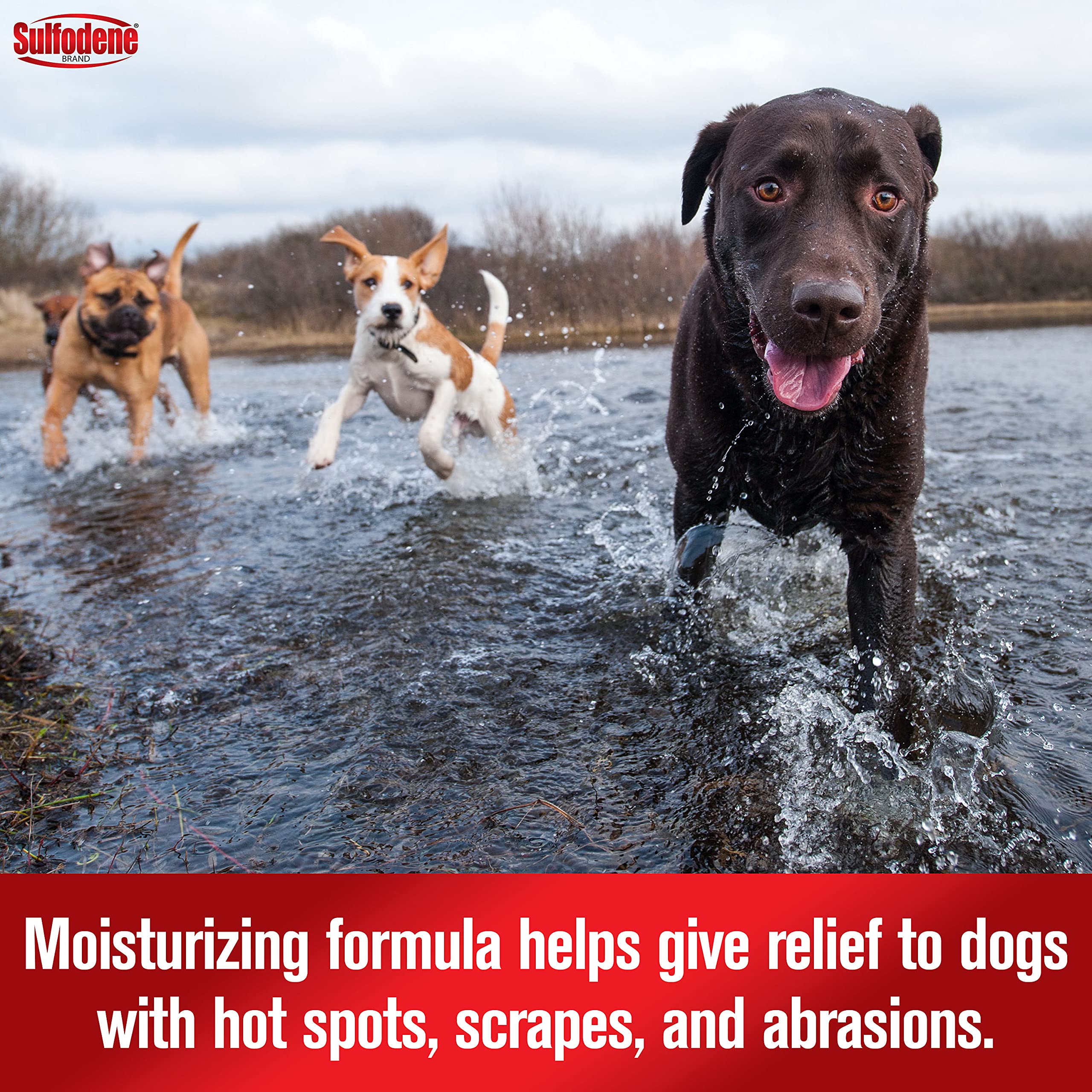 Sulfodene Hot Spot & Itch Relief Medicated Spray For Dog 8Oz