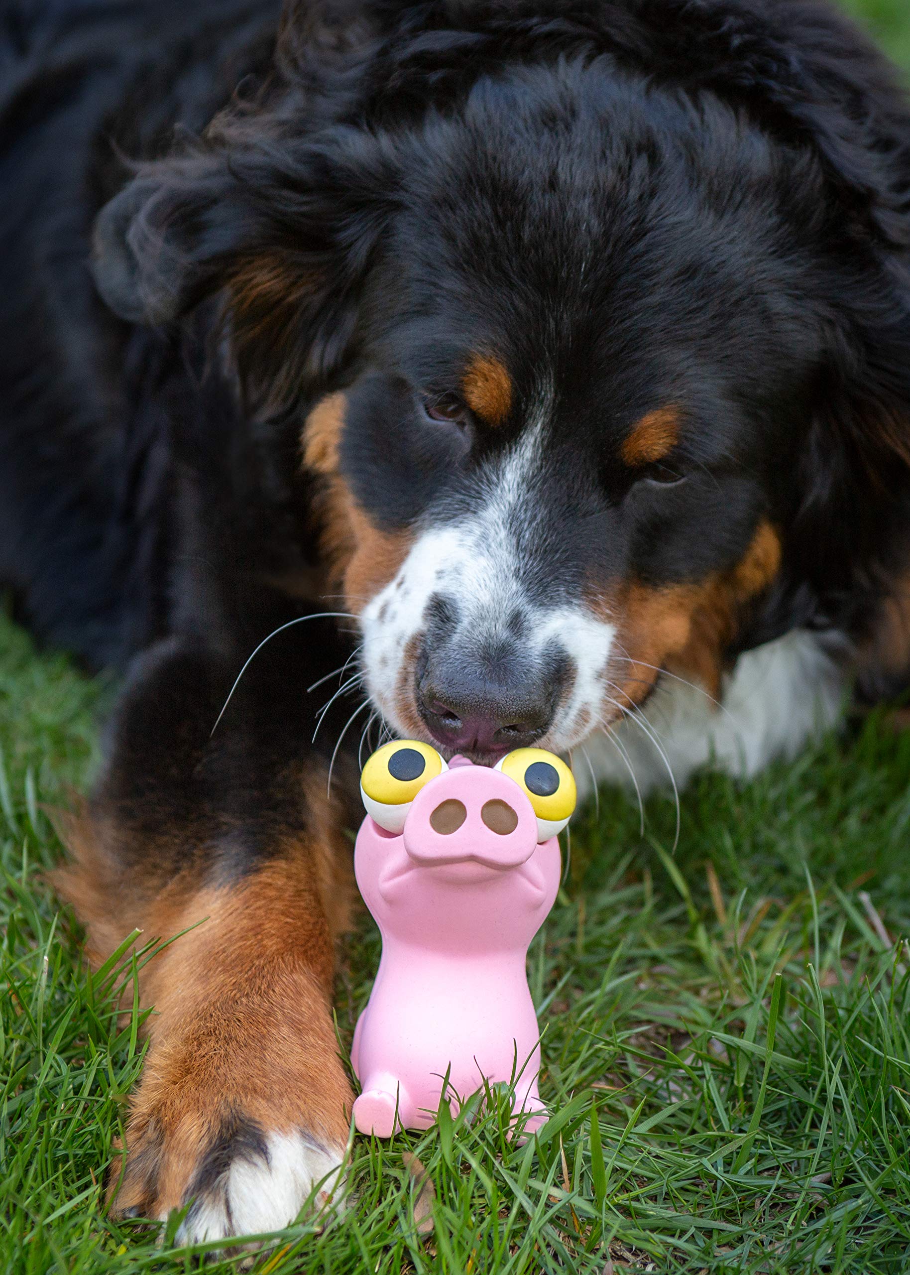 Hartz Bug Eyes Dog Toy - 1 Random Toy
