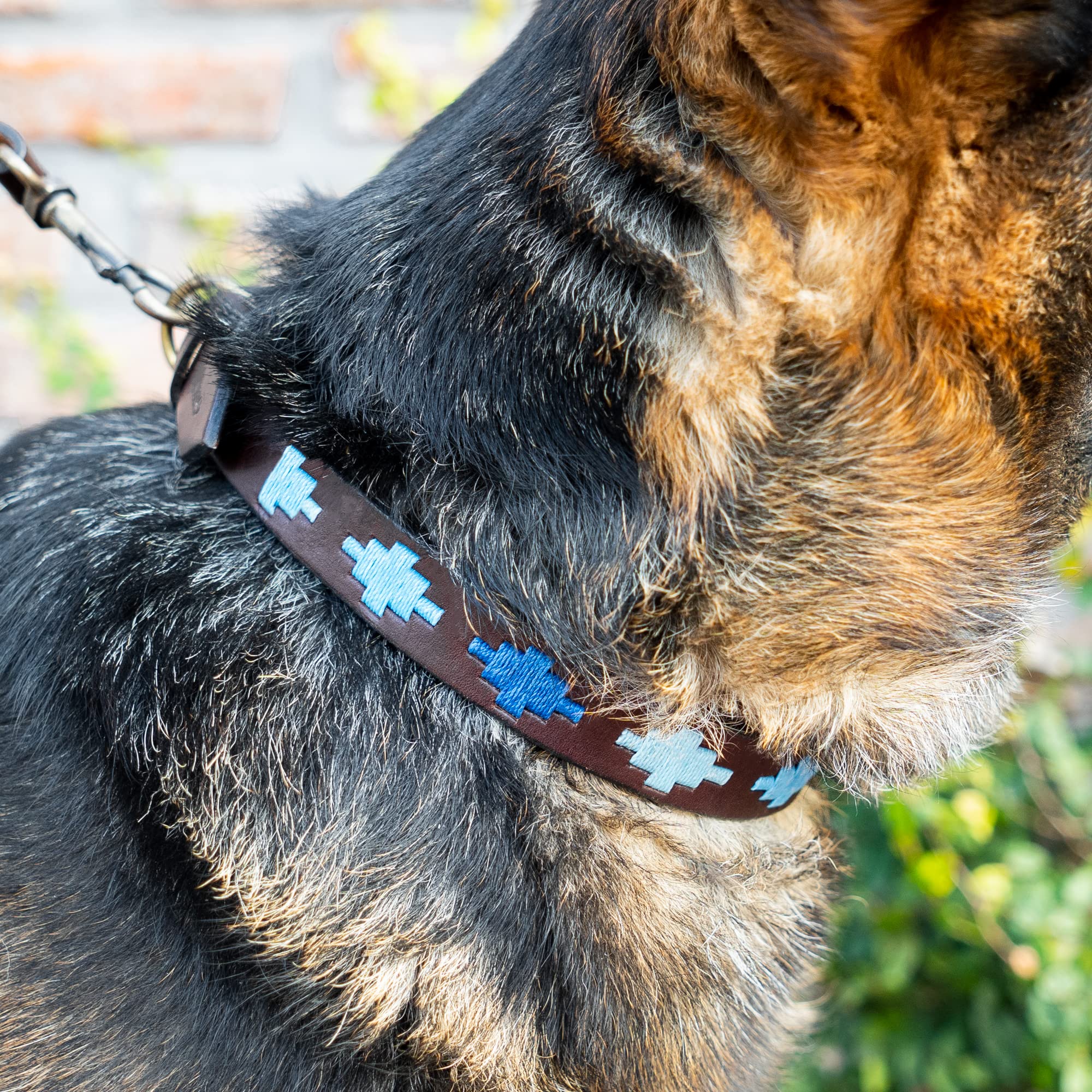 Gaucholife Polo Dog Collar Leather Hand-Stitched For Small Dogs Boy (Small, Ombu)