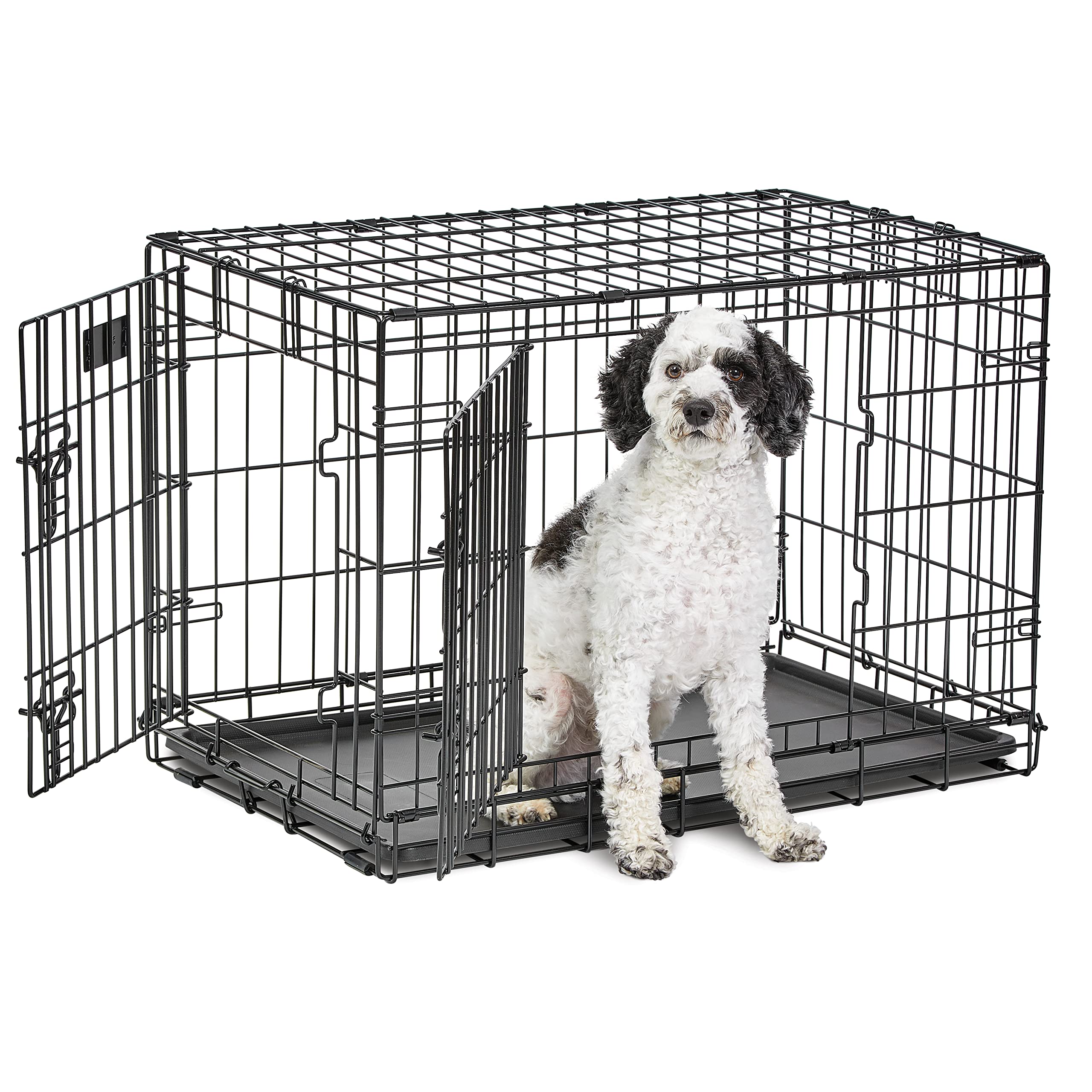Medium Dog Crate | Midwest Life Stages 30' Double Door Folding Metal Dog Breed Crate | Divider Panel, Floor Protecting Feet & Dog Pan | 30.6L X 19.3W X 21.4H Inches