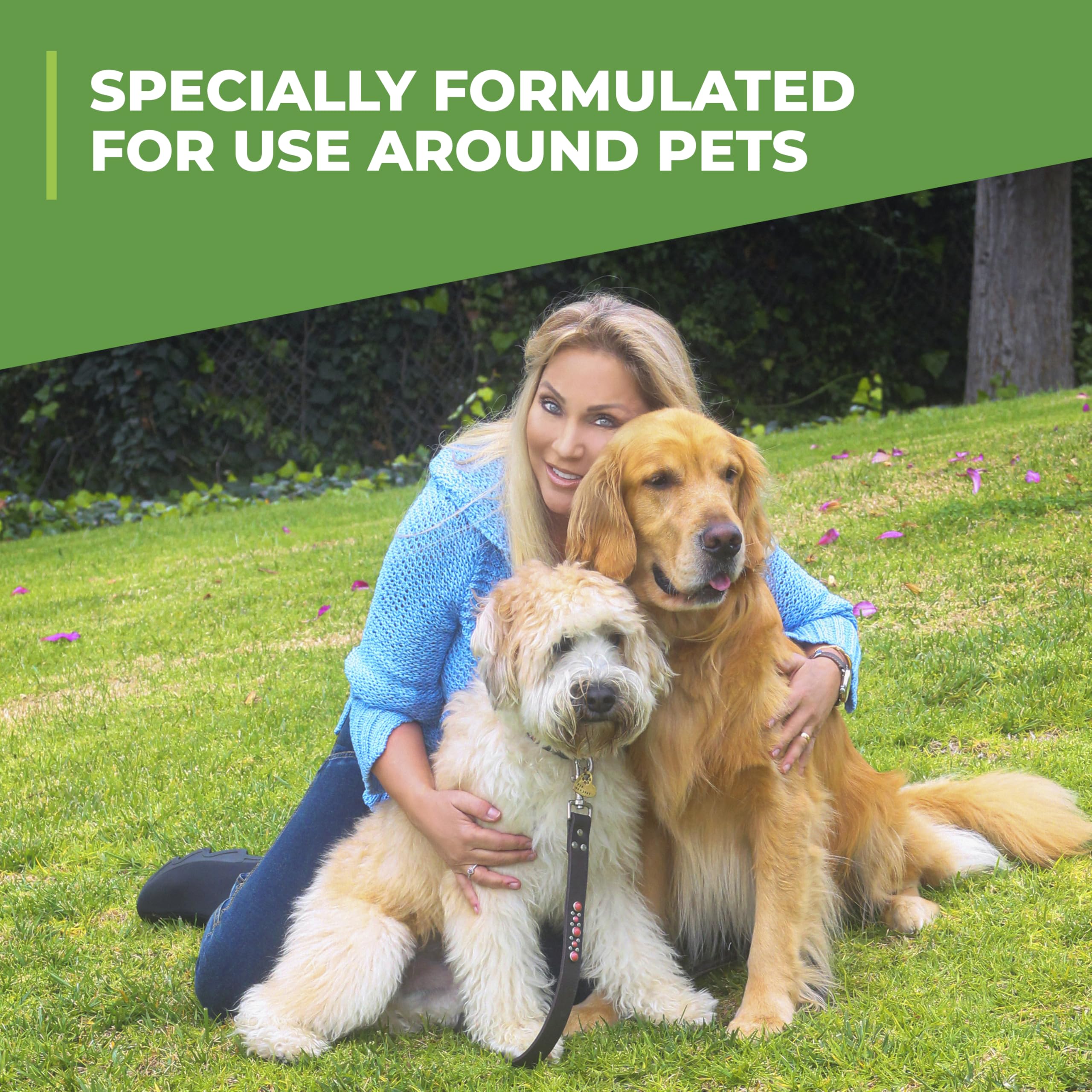 Simple Green Outdoor Odor Eliminator For Pets, Dogs, Ideal For Artificial Grass & Patio (32 Oz Hose End Sprayer & 1 Gallon Refill)