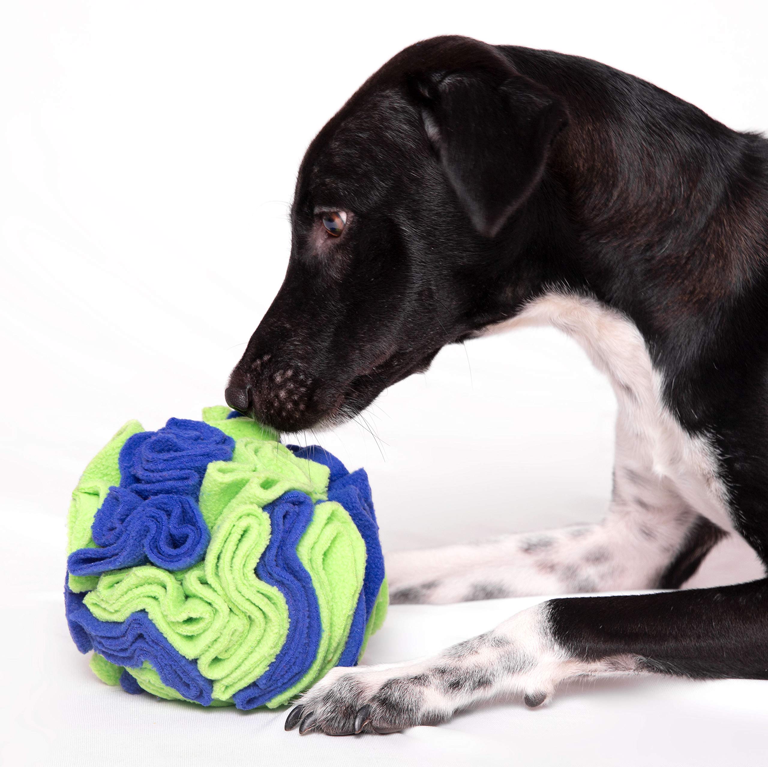 For the love of Dog Sniffer Ball  Fun And Challenging Puzzle Toy For Dogs Sniff And Snack Snuffle Ball (Medium, BlueGreen)