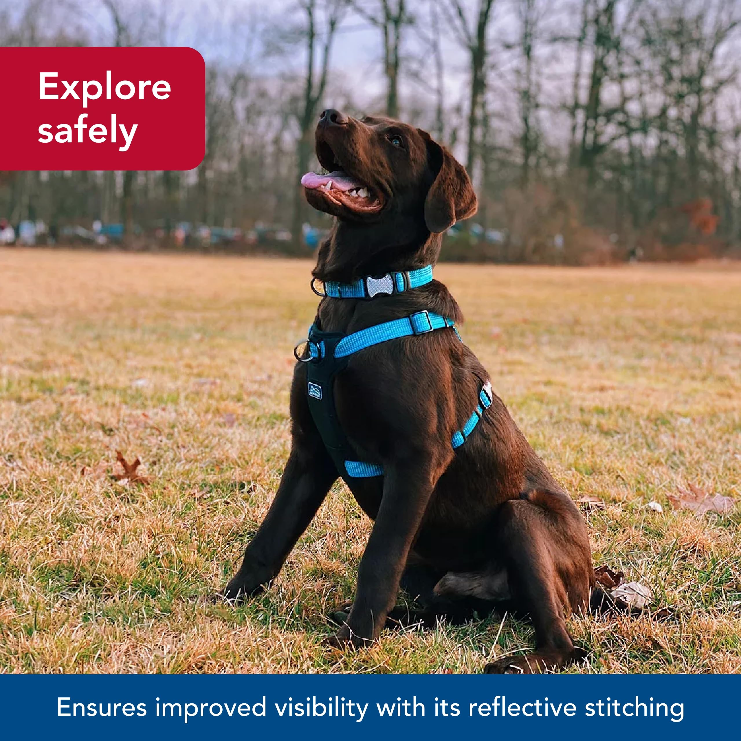 Coastal K-9 Explorer Reflective Harness, 1" x 26"-38", Synthetic Rubber, Desert Color