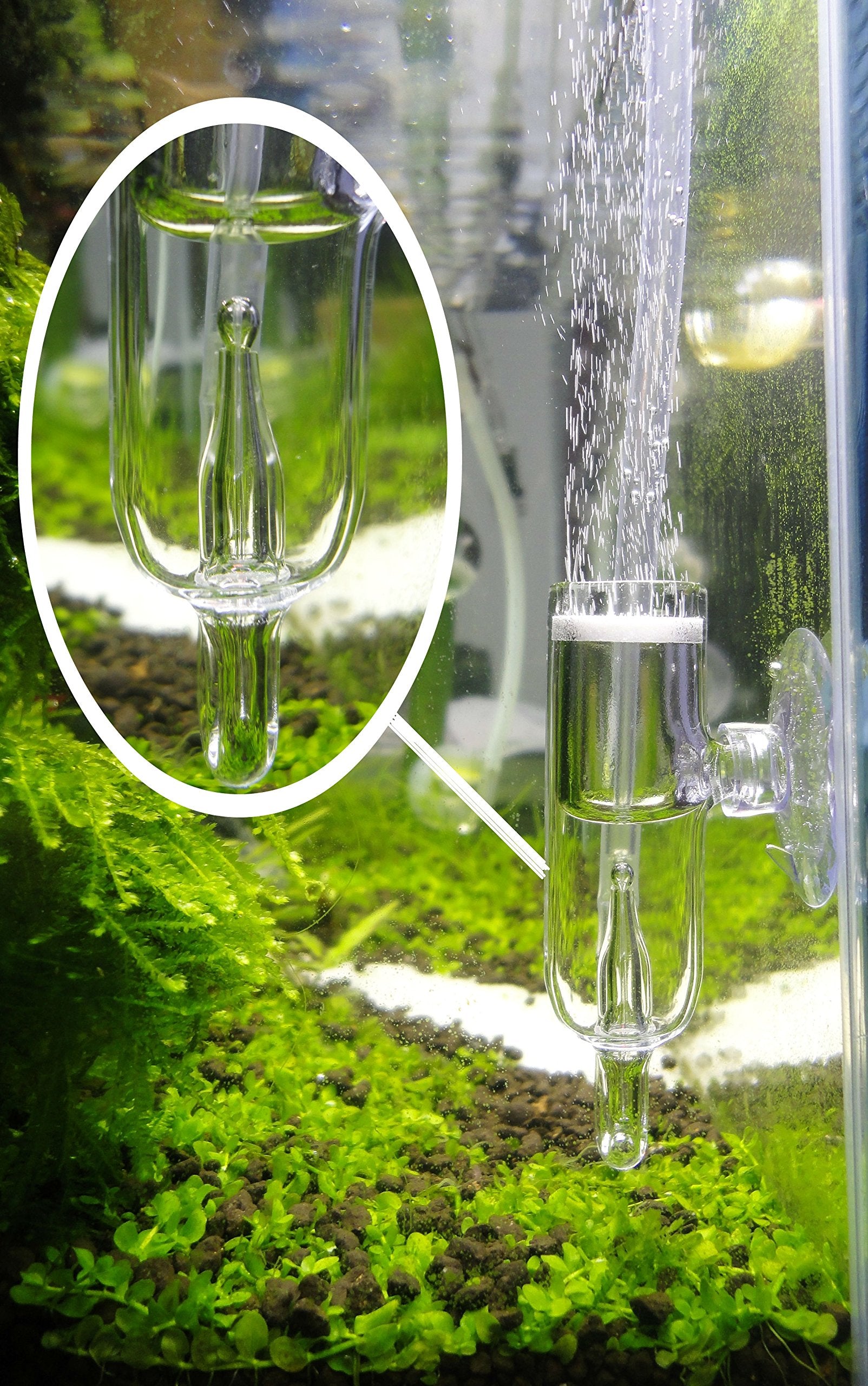 Pollen Glass Co2 Diffuser With Bubble Counter For Aquarium Planted Tank