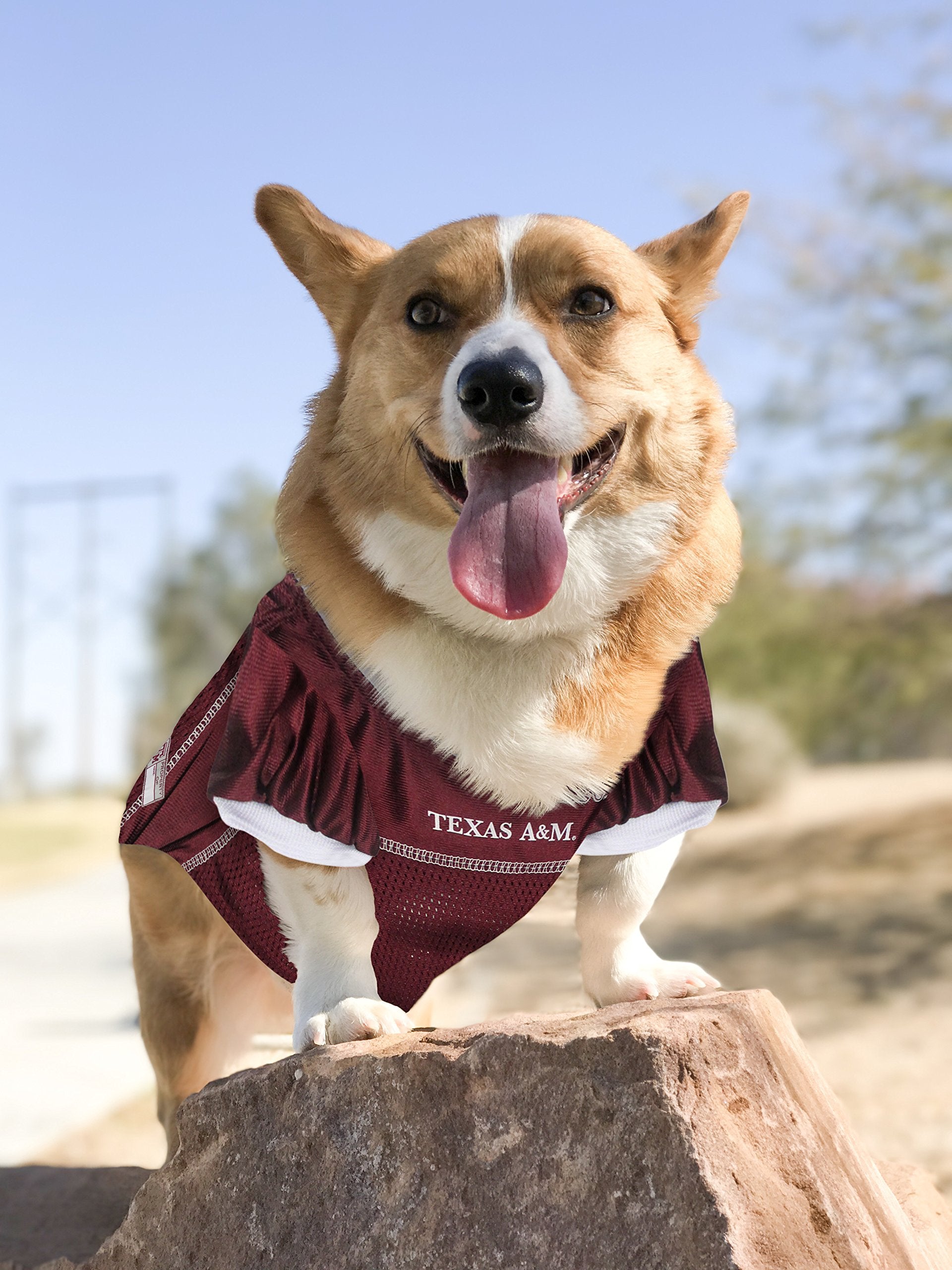 Pets First NCAA College Texas A&M Aggies Mesh Jersey for DOGS & CATS, Medium. Licensed Dog Jersey with your Favorite Football/Ba