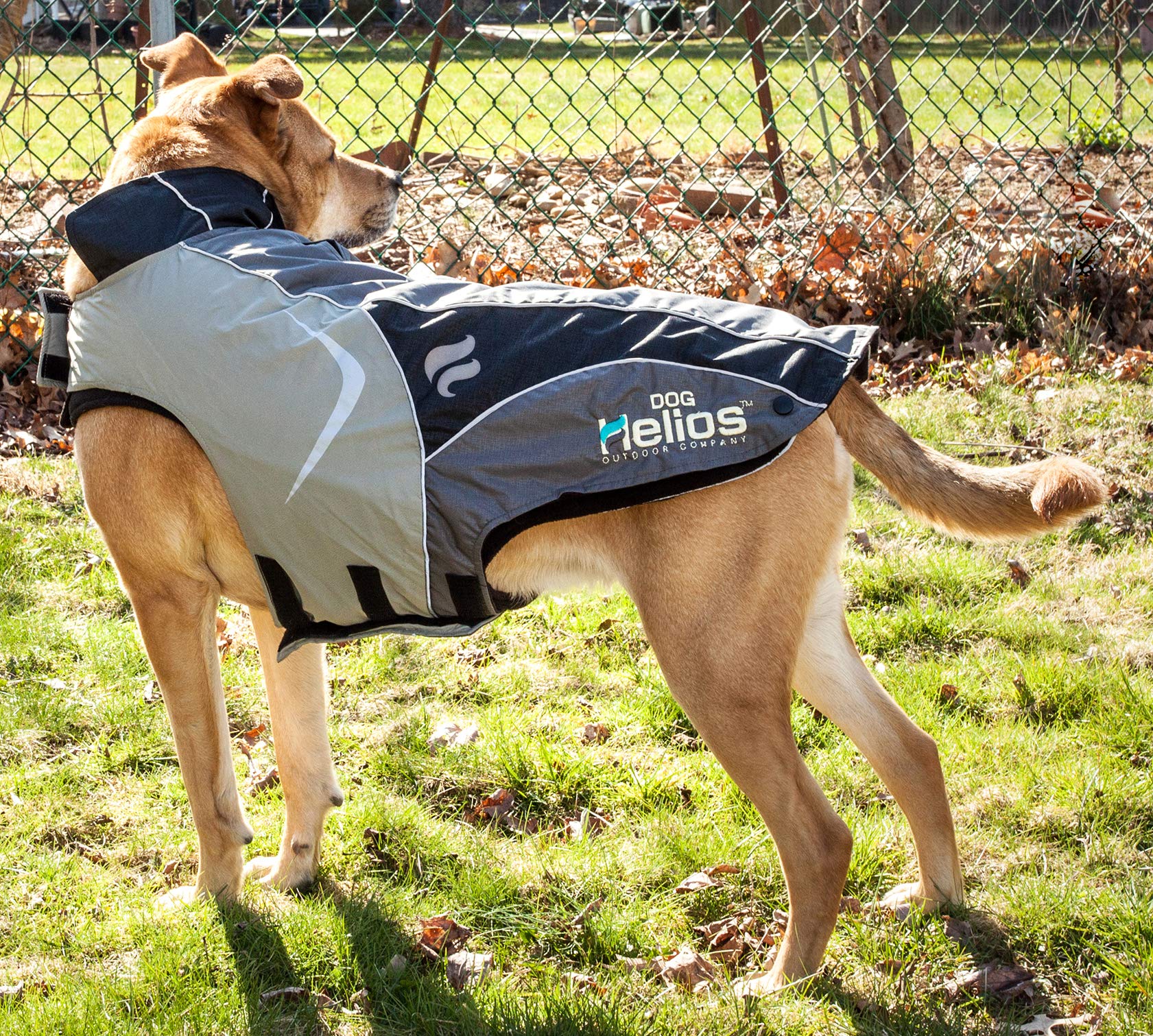 Helios Lotus-Rusher Waterproof 2-in-1 Convertible Dog Jacket w/Blackshark Technology, Small, Grey, Black