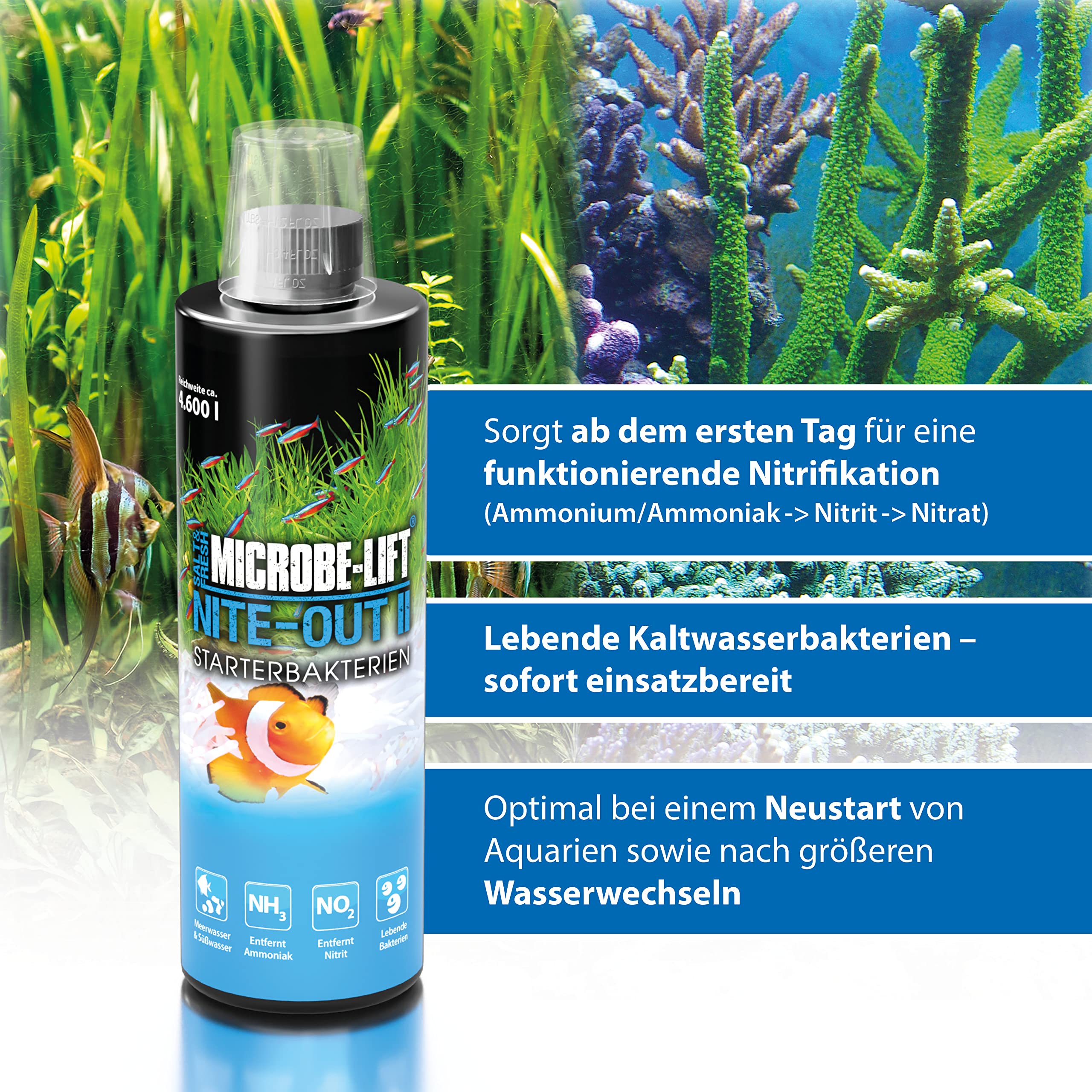 MICROBE-LIFT NITEH64 Nite-Out II Aquarium Cleaner, Rapid Ammonia & Nitrite Reduction, 64 Ounces, Freshwater/Saltwater, Black