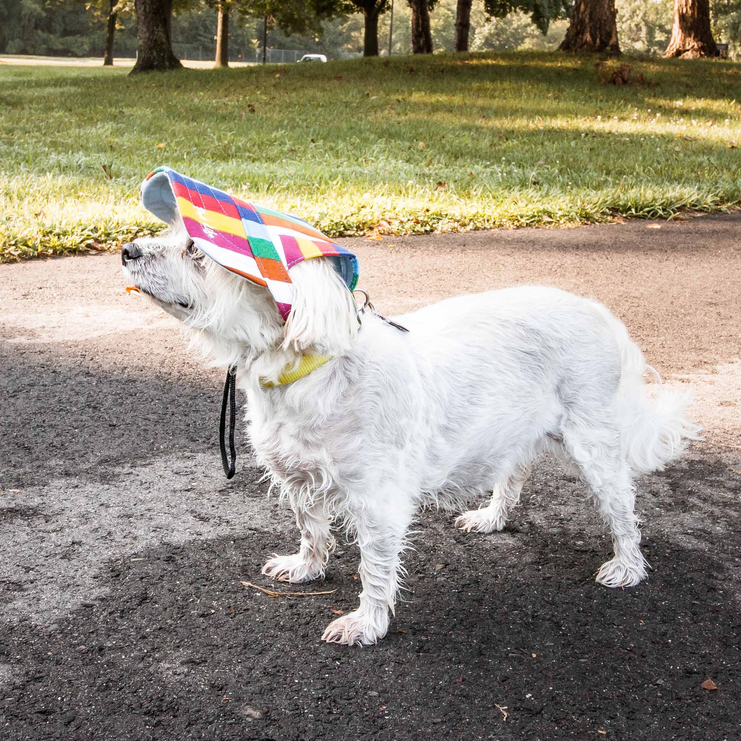 Pet Life 'Colorfur' Floral Uv Protectant Adjustable Fashion Dog Hat Cap(D0102H7Lfsv.)