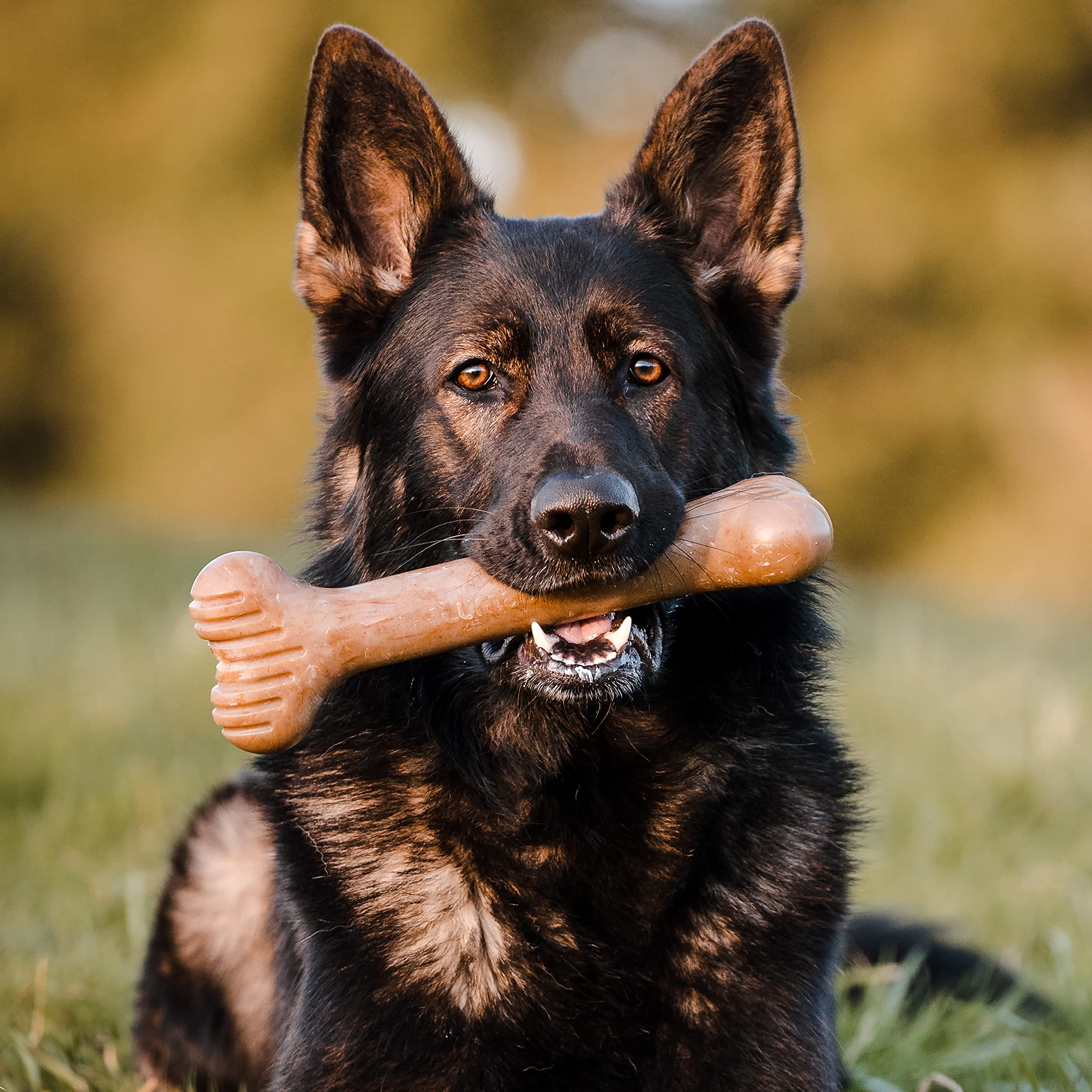 Lumabone Bulkster Durable Chew Toy for Aggressive Chewers - Real Bacon Flavor, Giant Size, Made in USA, Nylon Material