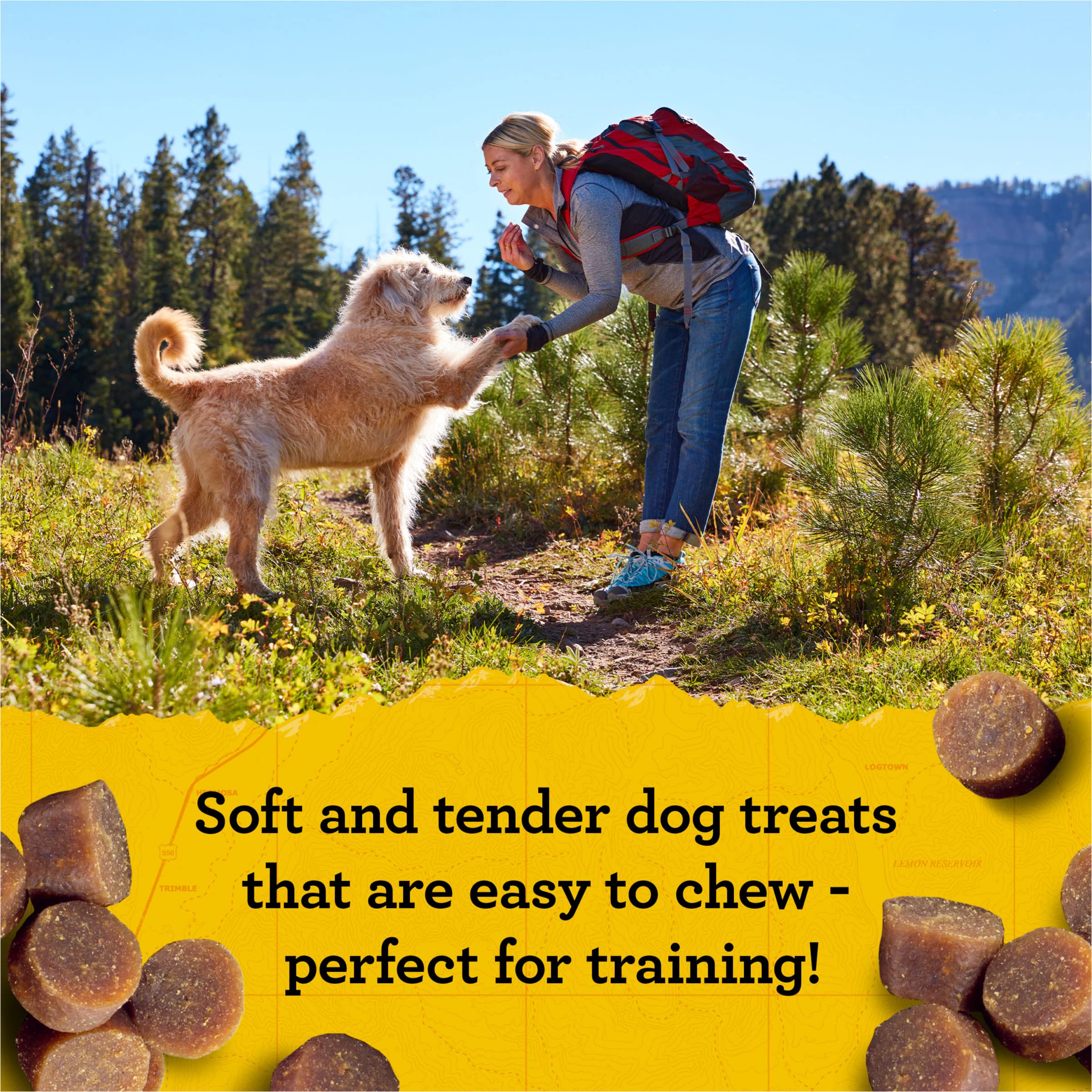 Zuke s Mini Naturals Dog Training Treats, Soft Mini Dog Treats with Vitamins & Minerals, Made for All Breed Sizes Chicken, 16 O