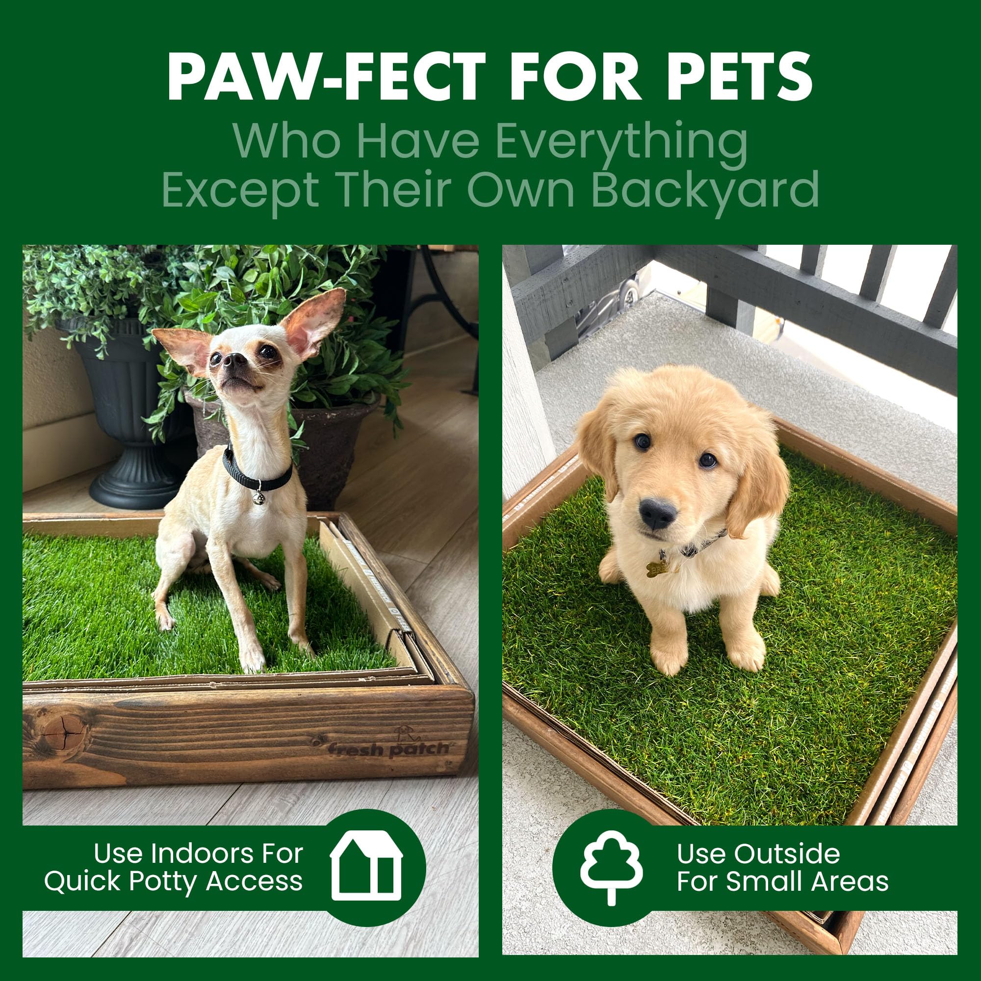 Fresh Patch Mini Real Grass Pee Pad for Dogs up to 8 lbs - Indoor/Outdoor Use, 16x12, Green - Potty Training Solution