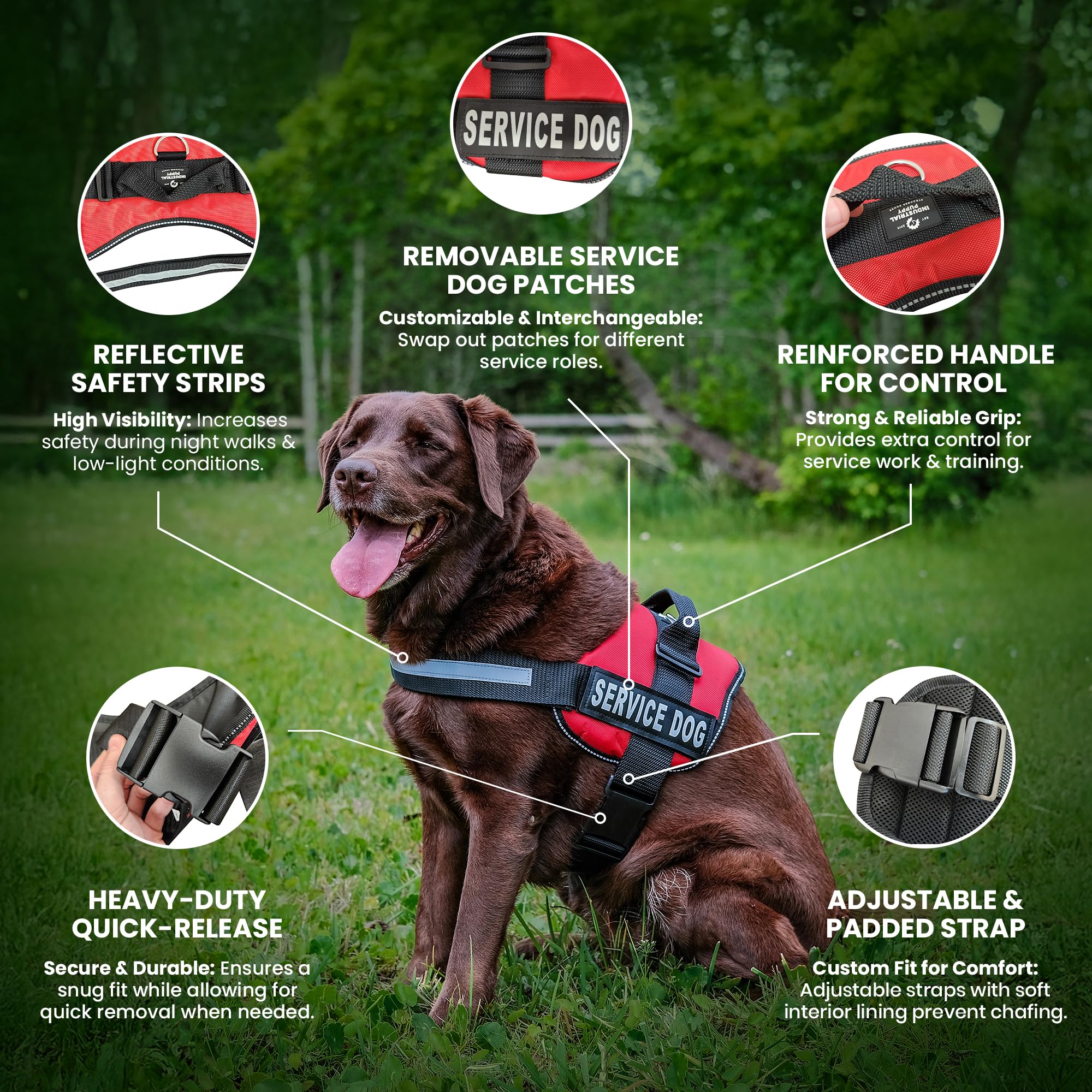 Service Dog Vest with Hook and Loop Straps & Matching Leash Set - Harnesses from XXS to XXL - Service Dog Harness Features Refle