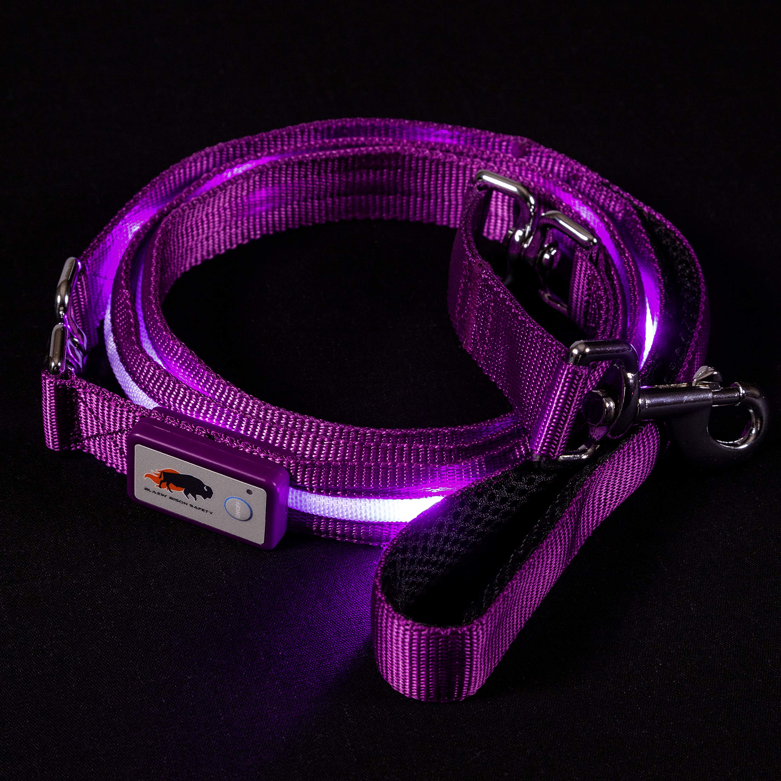 Blazin' Safety Led Dog Leash - Usb Rechargeable Flashing Light, 6 Ft, Water Resistant  Avoid Danger  Purple