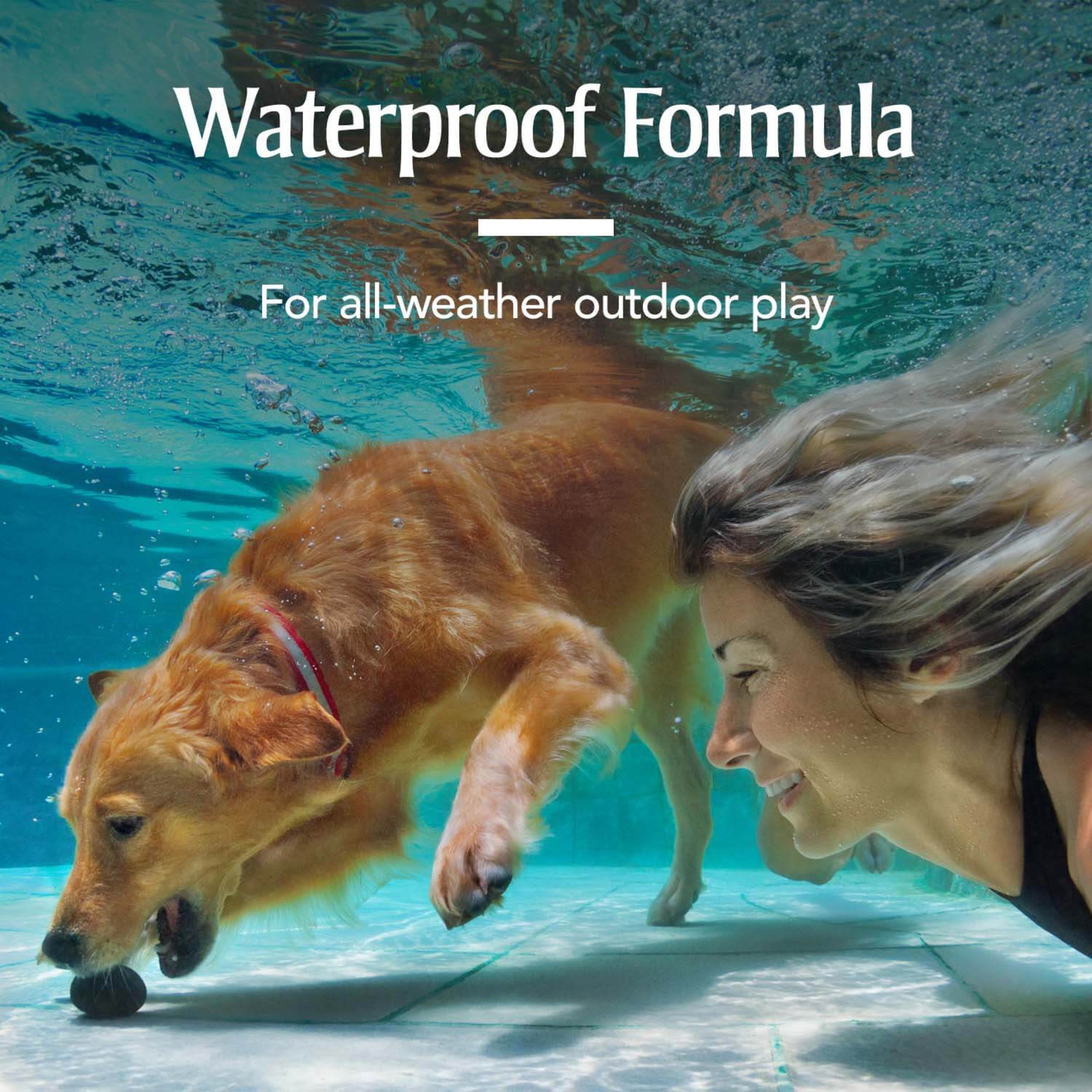 PetArmor for Dogs, Flea and Tick Treatment for Extra Large Dogs (89-132 Pounds), Includes 3 Month Supply of Topical Flea Treatme