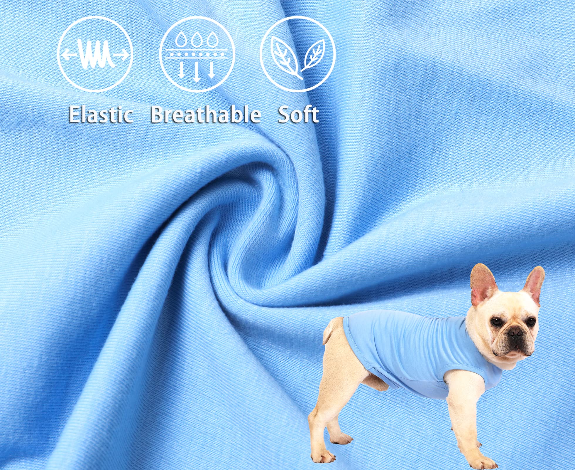 Sychien Dog Blank Blue Shirt,Boy Girl Dogs Cats Tee Shirts,Plain Extra Small Chihuahua T-Shirt,Xs Blue Royal