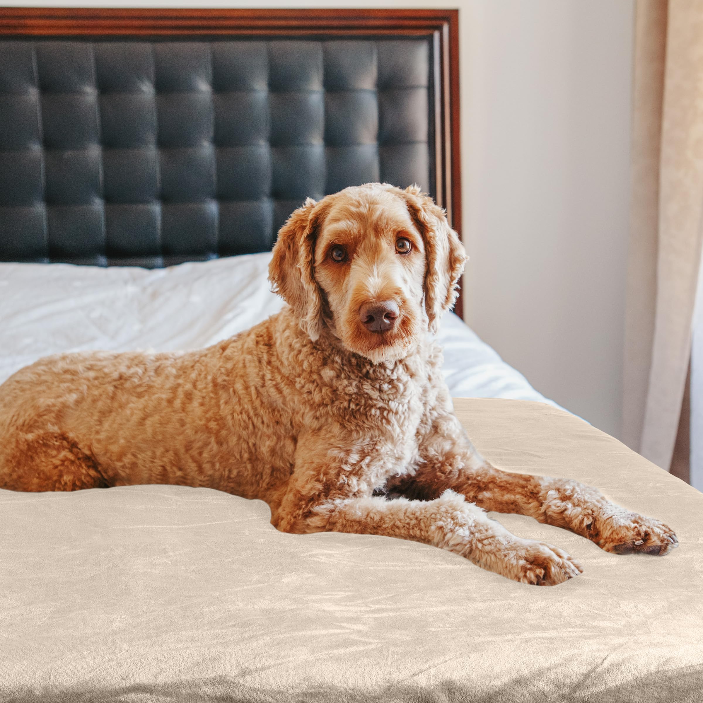 PETMAKER Dog Blanket - 60x80in Reversible Sherpa Blanket - Throw Blankets for Bed, Couch, Crate, or Car - Machine Washable Puppy