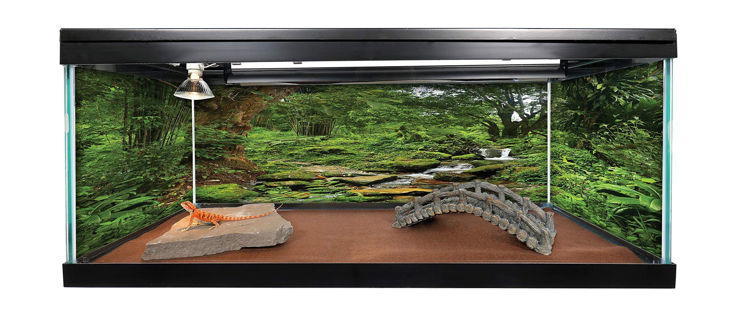 Reptile Habitat Background; Rain Forest With Stream For 20L, 3-Sided Wraparound