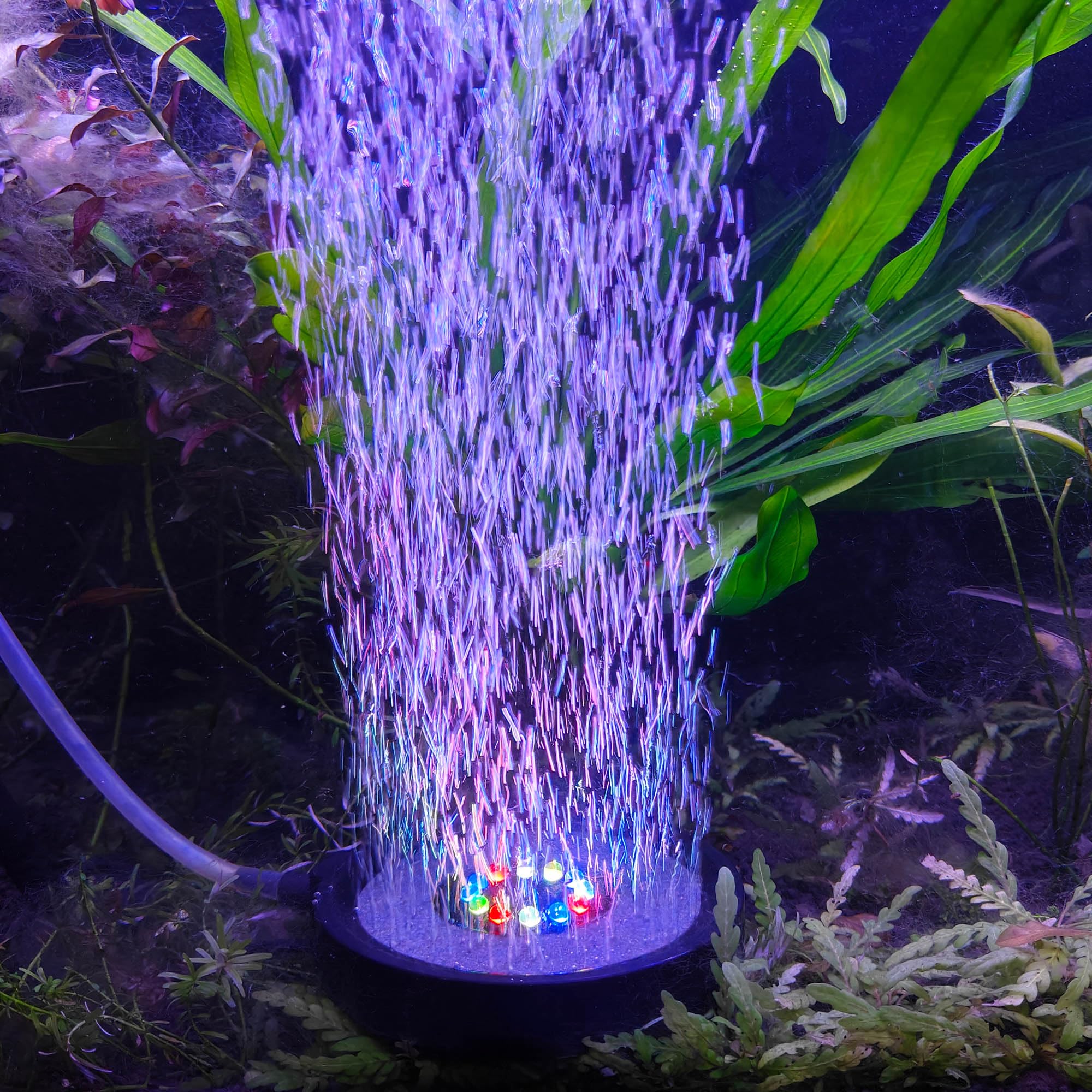 NICREW Multi-Colored LED Bubbler Stone Disk, 4 Inch Fish Tank Decor, Auto Color Changing, Model N0070
