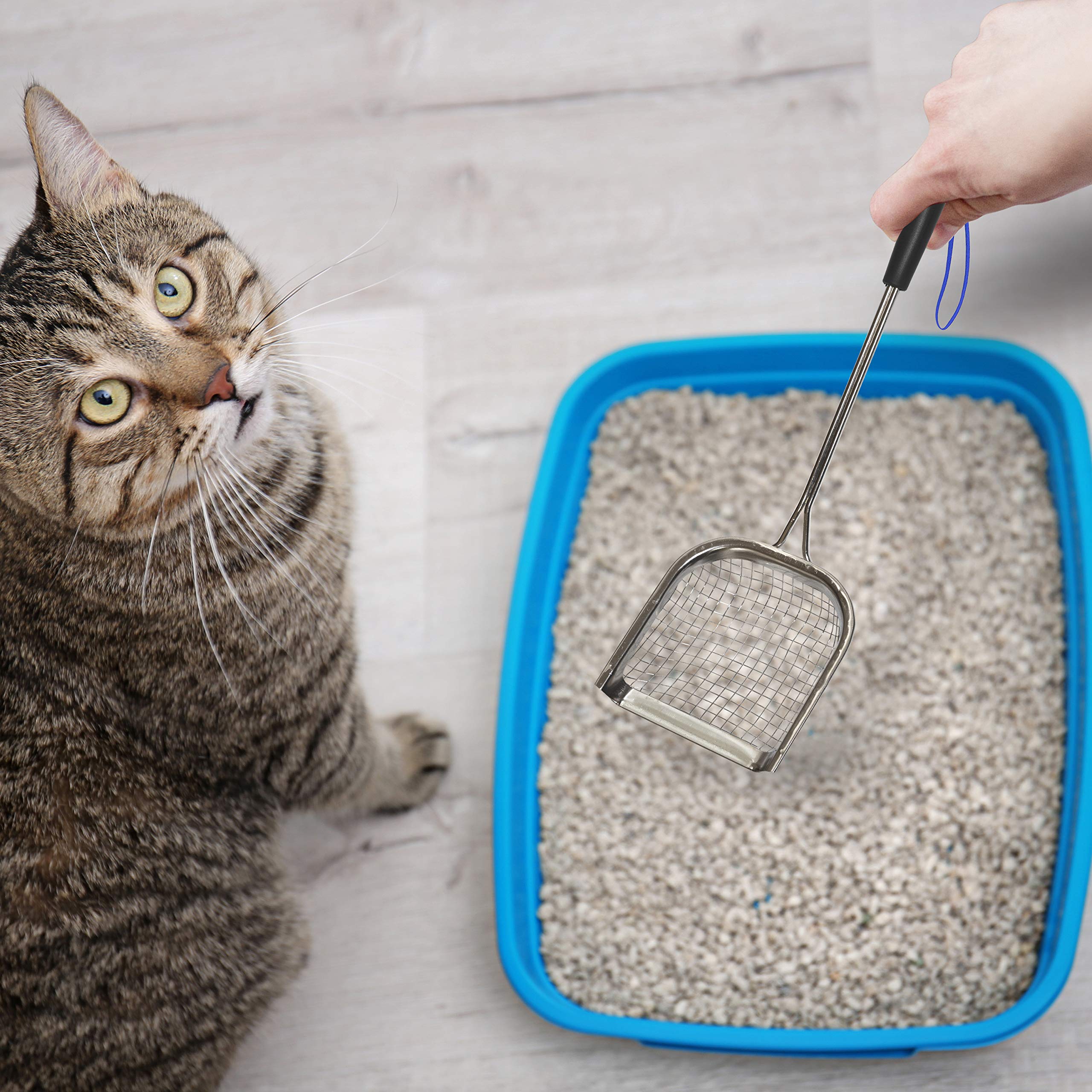 Sand Dipper Stainless Steel Cat Litter Scoop - Square Design, Silver, Long Handle