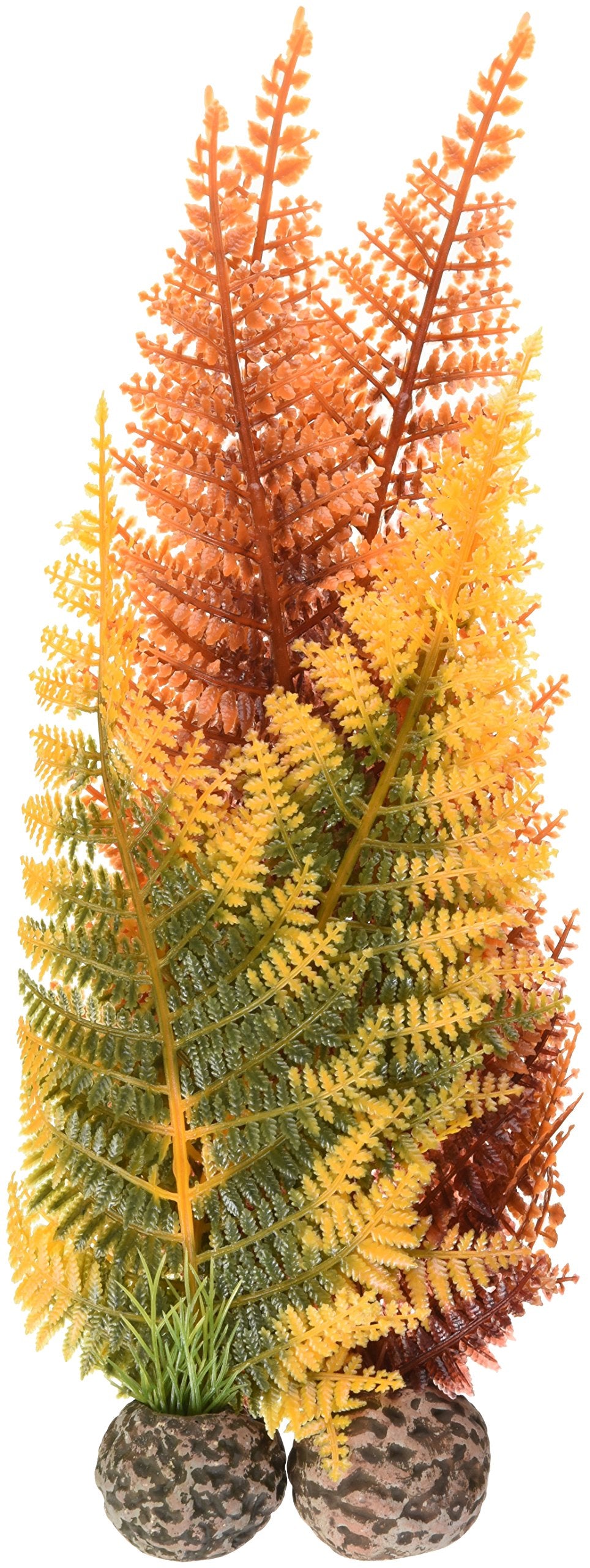 Biorb Autumn Fern Plants - 2 Pack