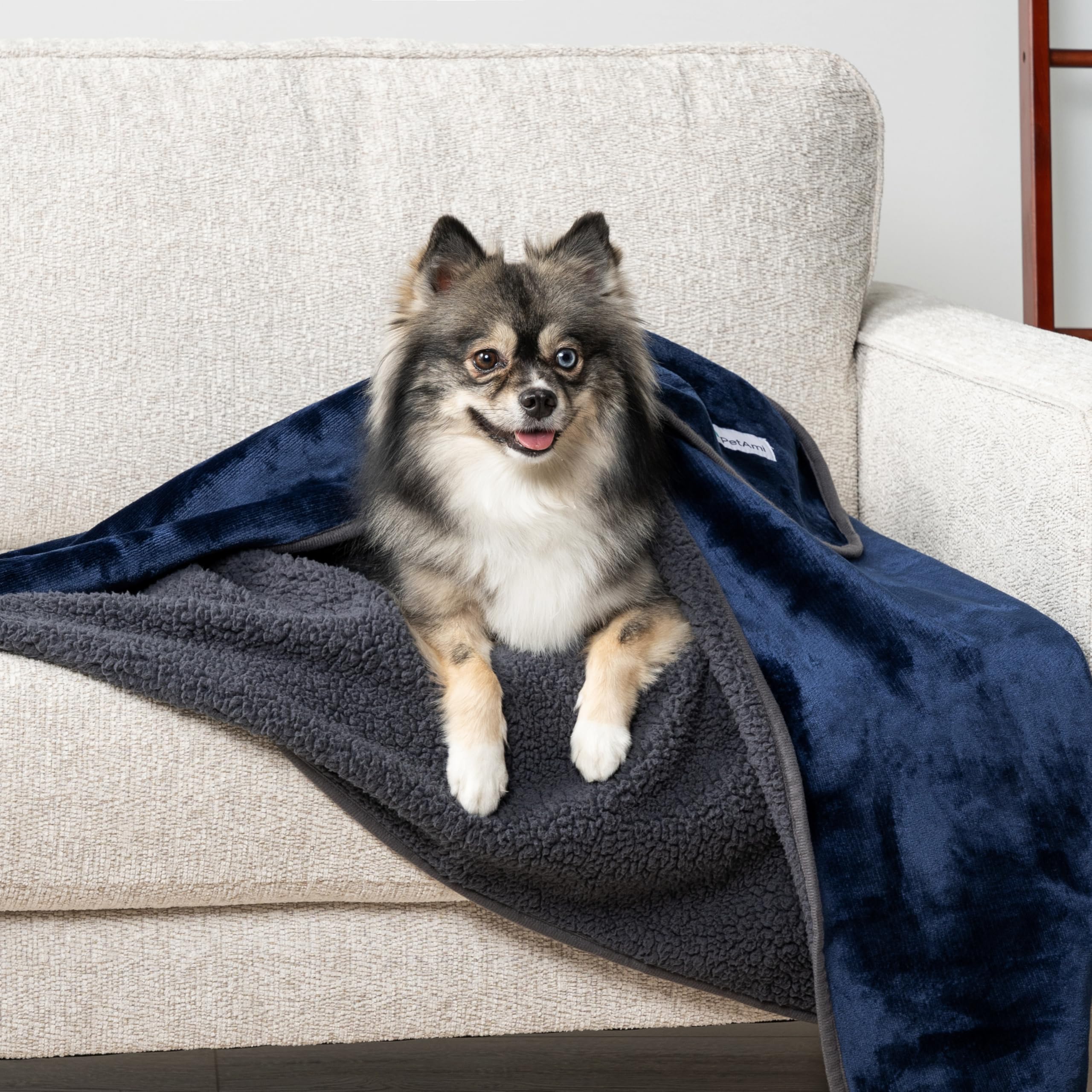 Petami Waterproof Dog Blanket For Medium Large Dogs, Pee Proof Pet Blanket For Bed Couch, Reversible Water Proof Blanket For Puppy Indoor Cat, Soft Dog Pee Crate Cover Washable, 60X80 Navy/Gray
