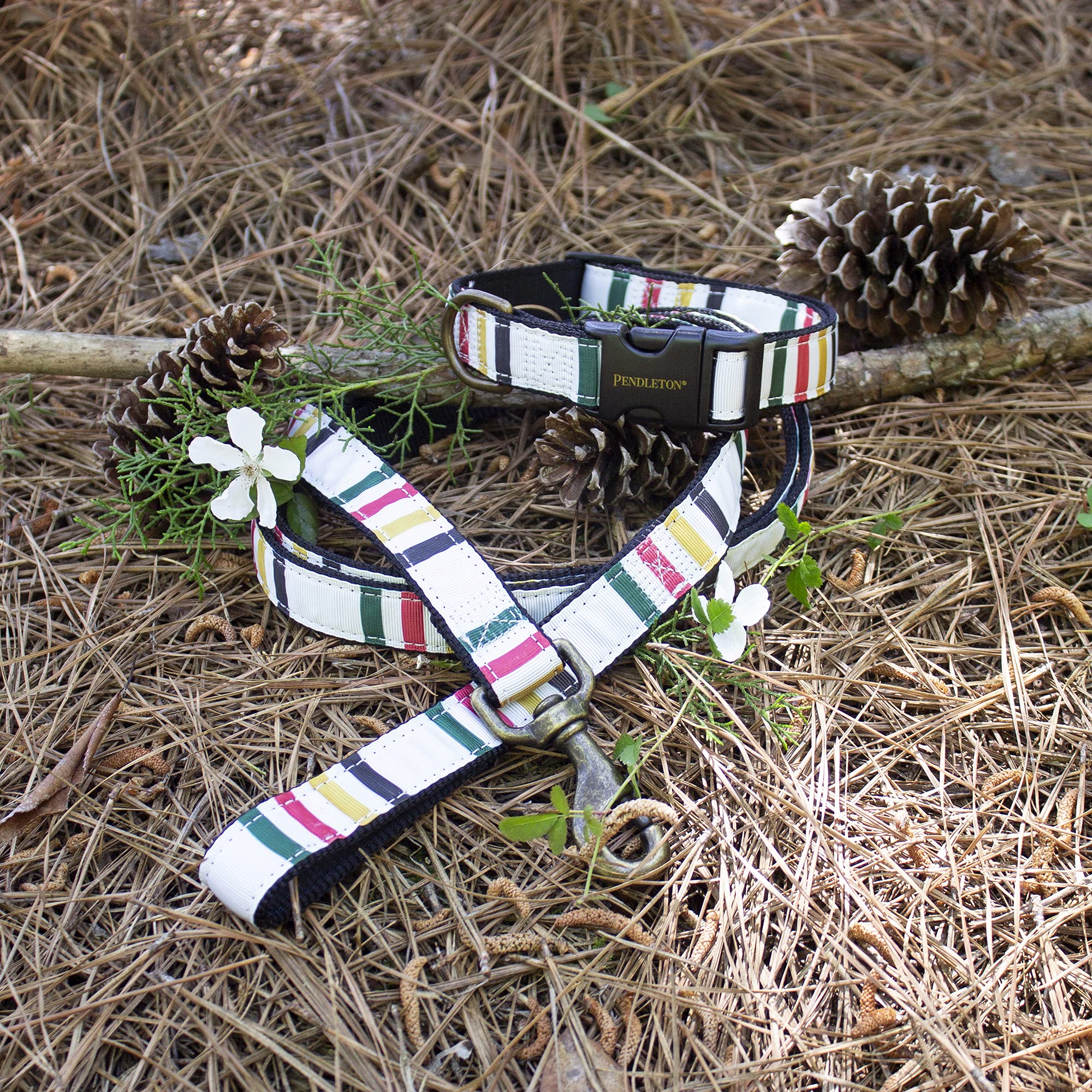 Pendleton Pet Hiker Collar - Glacier Large