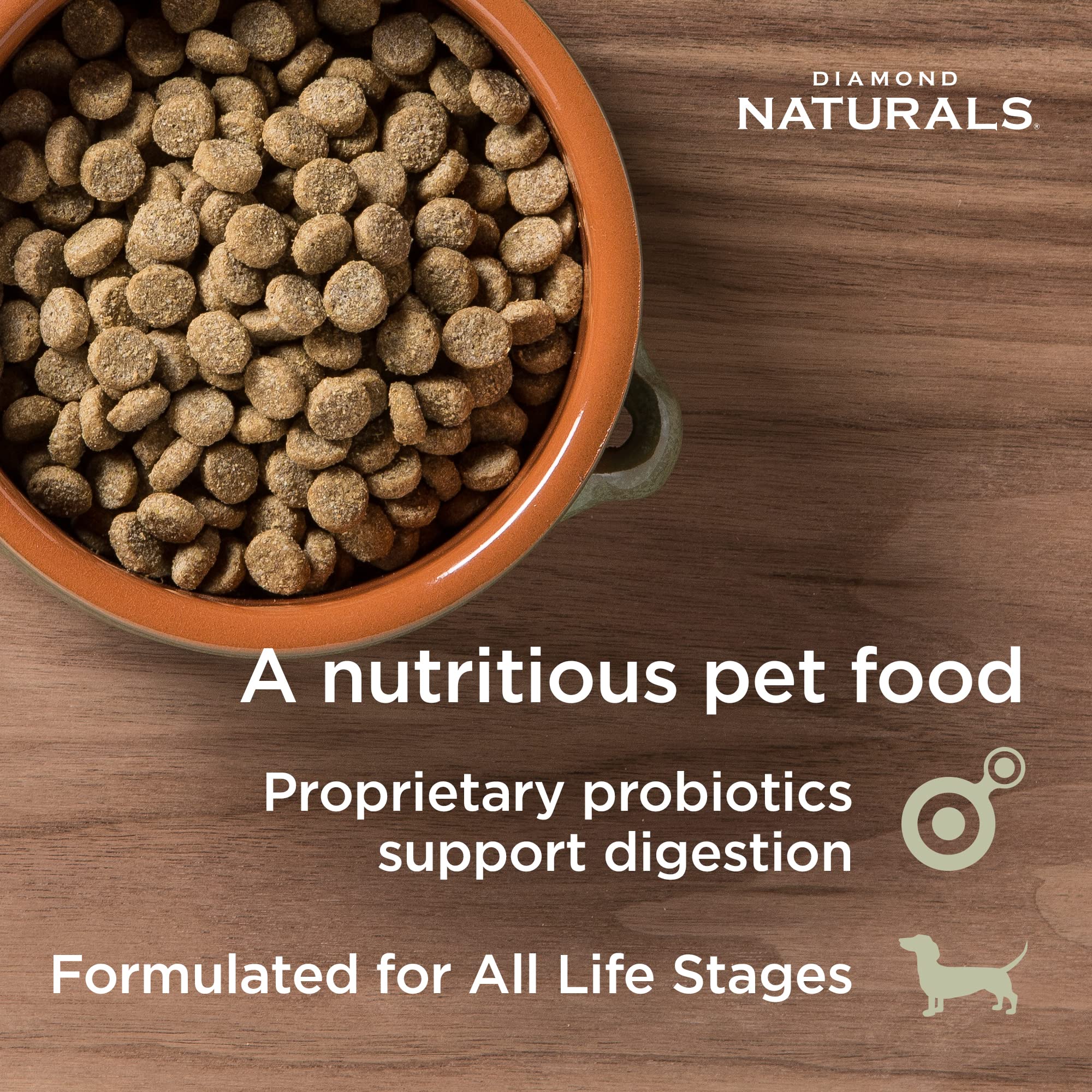DIAMOND NATURALS Skin & Coat Real Meat Recipe Dry Dog Food with Wild Caught Salmon 15lb (9422_15_DND)