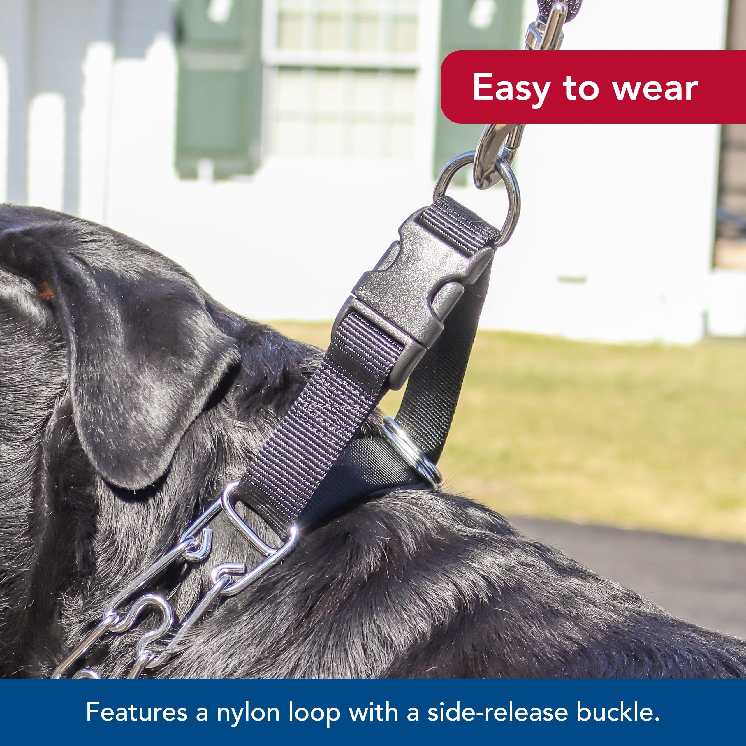 Coastal Pet Titan Easy-On Dog Prong Training Collar With Buckle - Training Collar For Dogs - Durable Metal Dog Collar - Training Collar With Side Release Buckle - Black, 3.3 Mm X 20'.