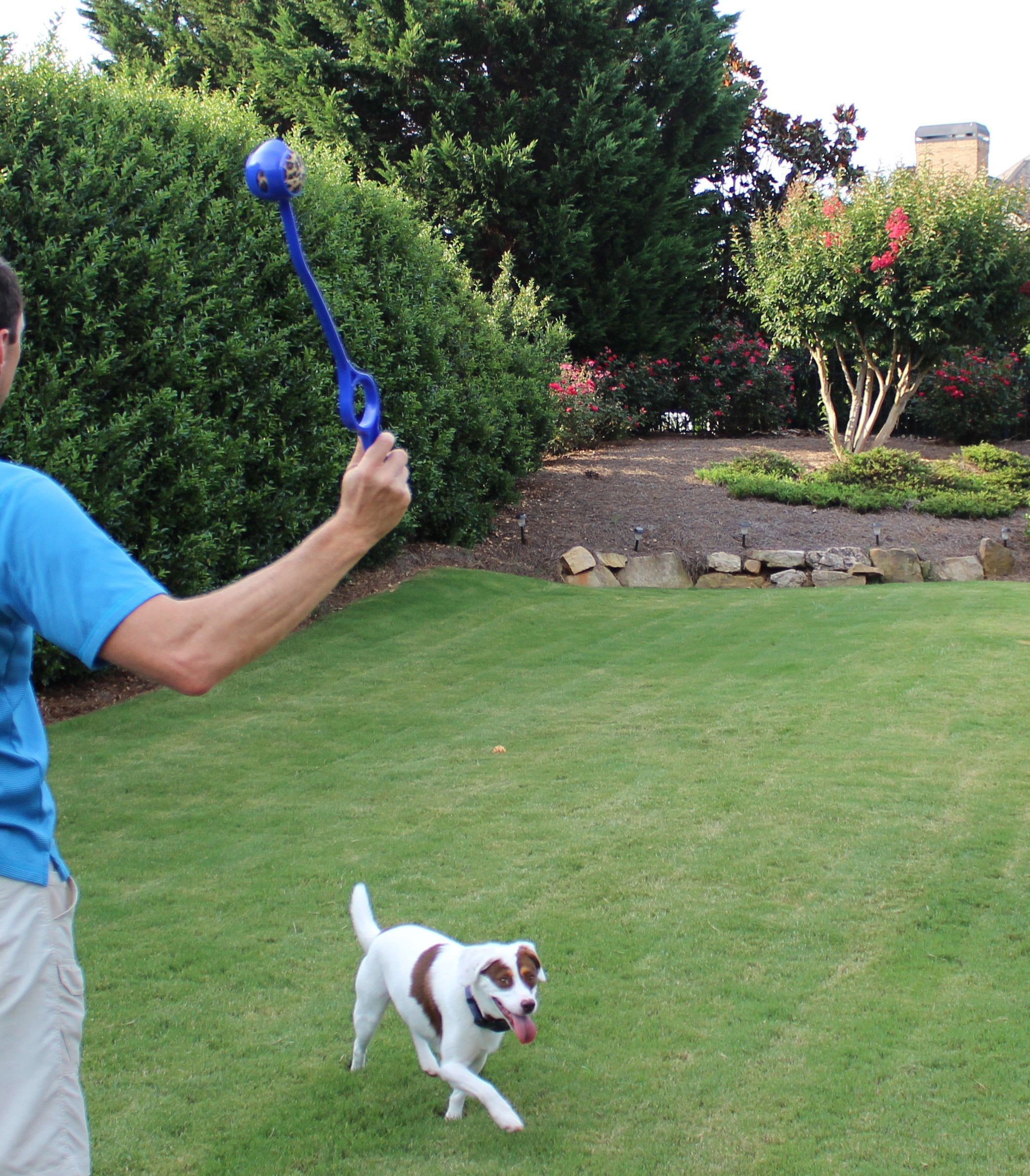 Unique Sports Launch-It Dog Ball Launcher With 4 Animal Print Squeaker Balls