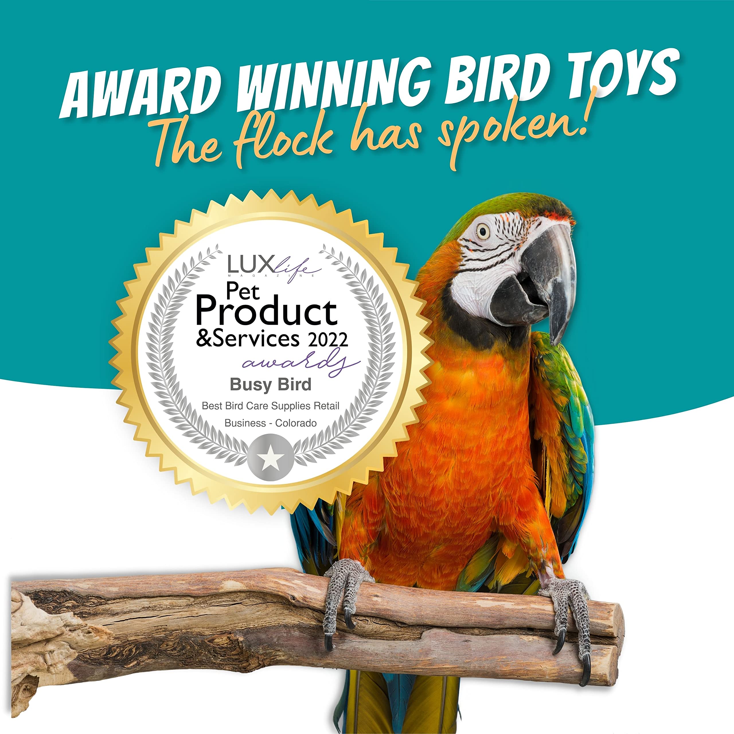 Stainless Steel Spinner Bird Toy With Traveling Spinner | Durable Puzzle Enrichment Toy | Spinner Toy For Medium To Large Birds